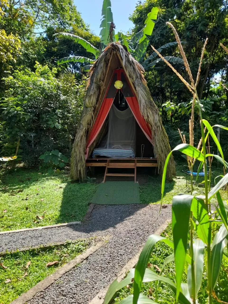 Property building in Centro Ananda