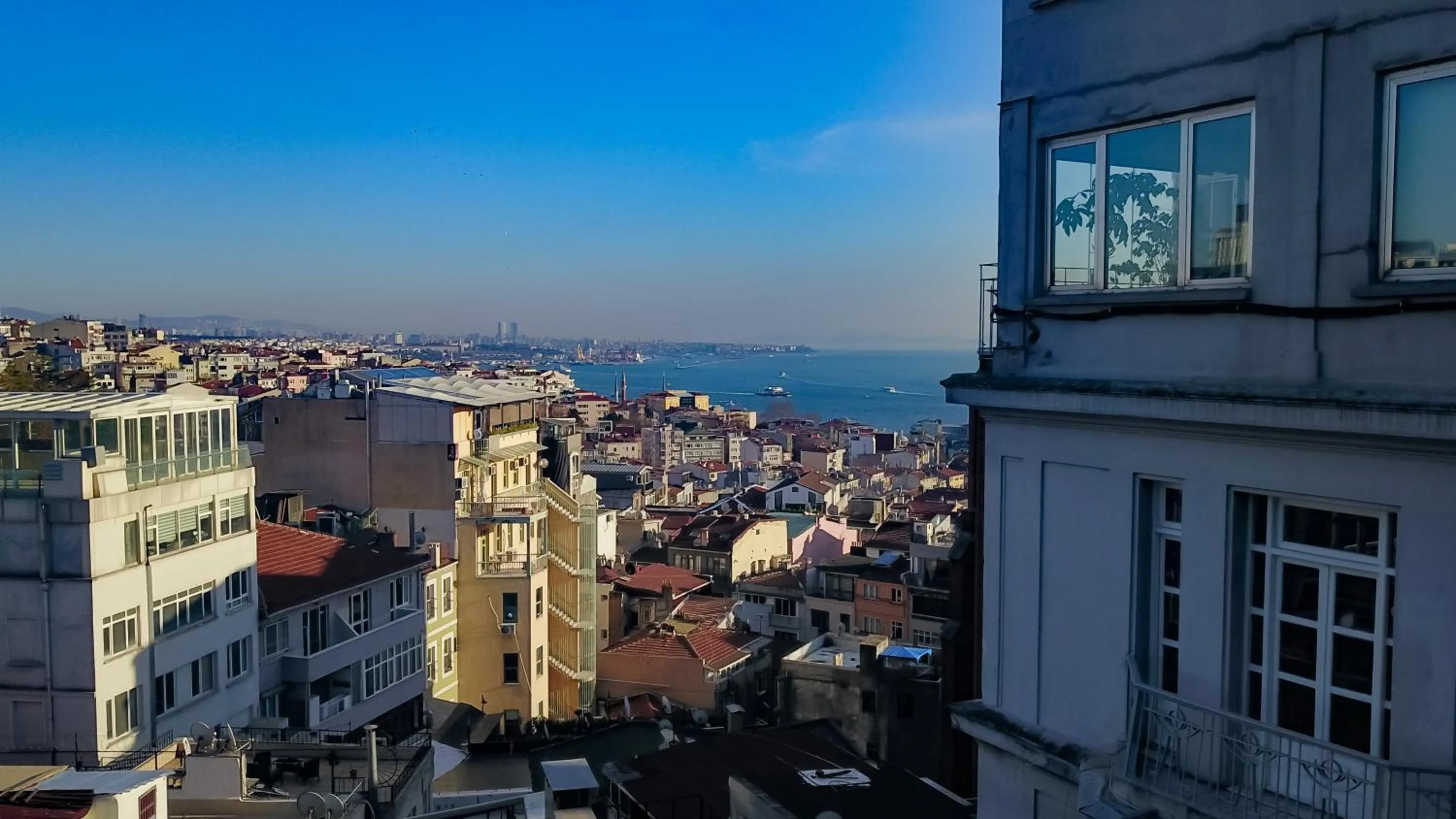 Property building in Maroon Tomtom