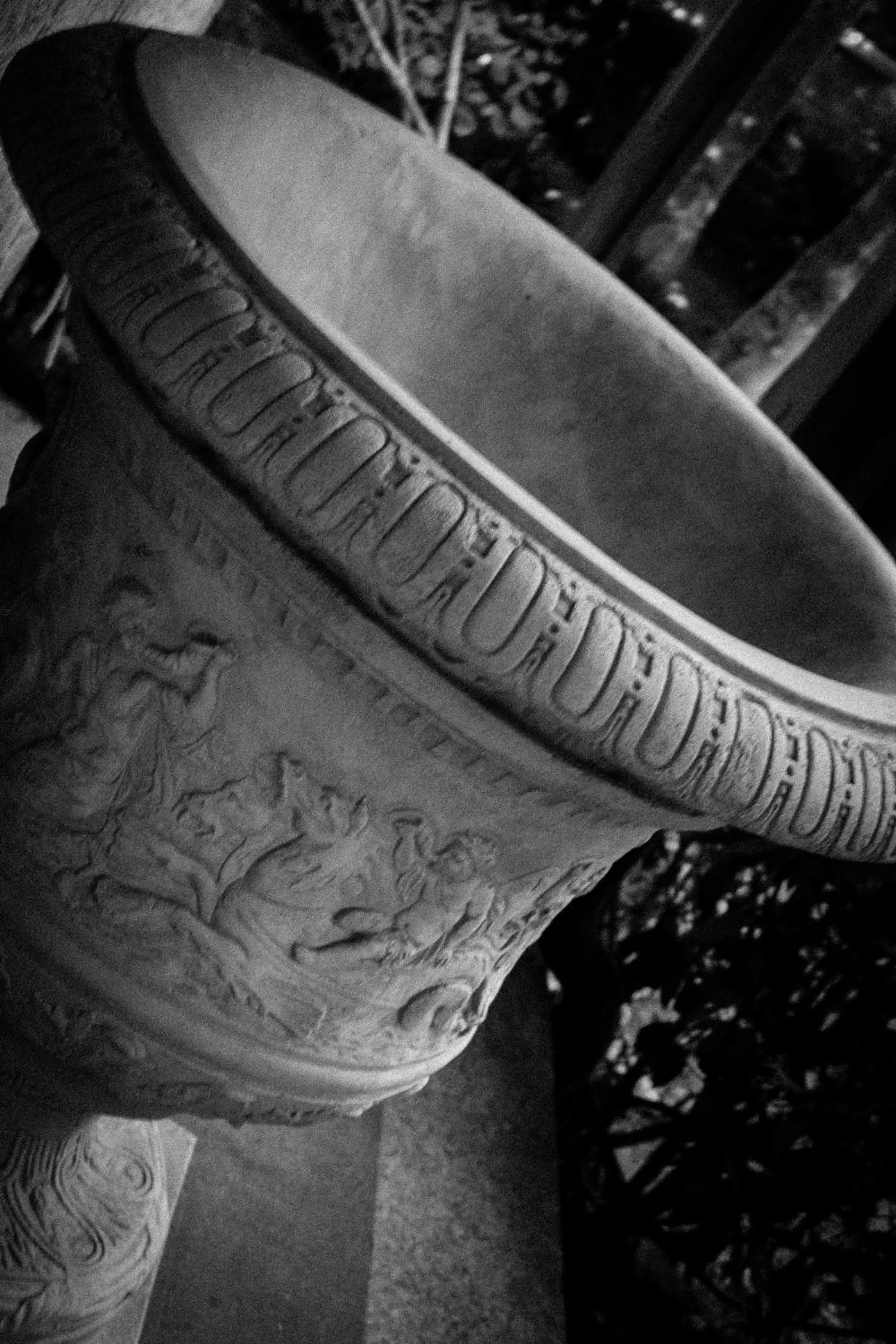 Garden in Hotel Sara De Ur