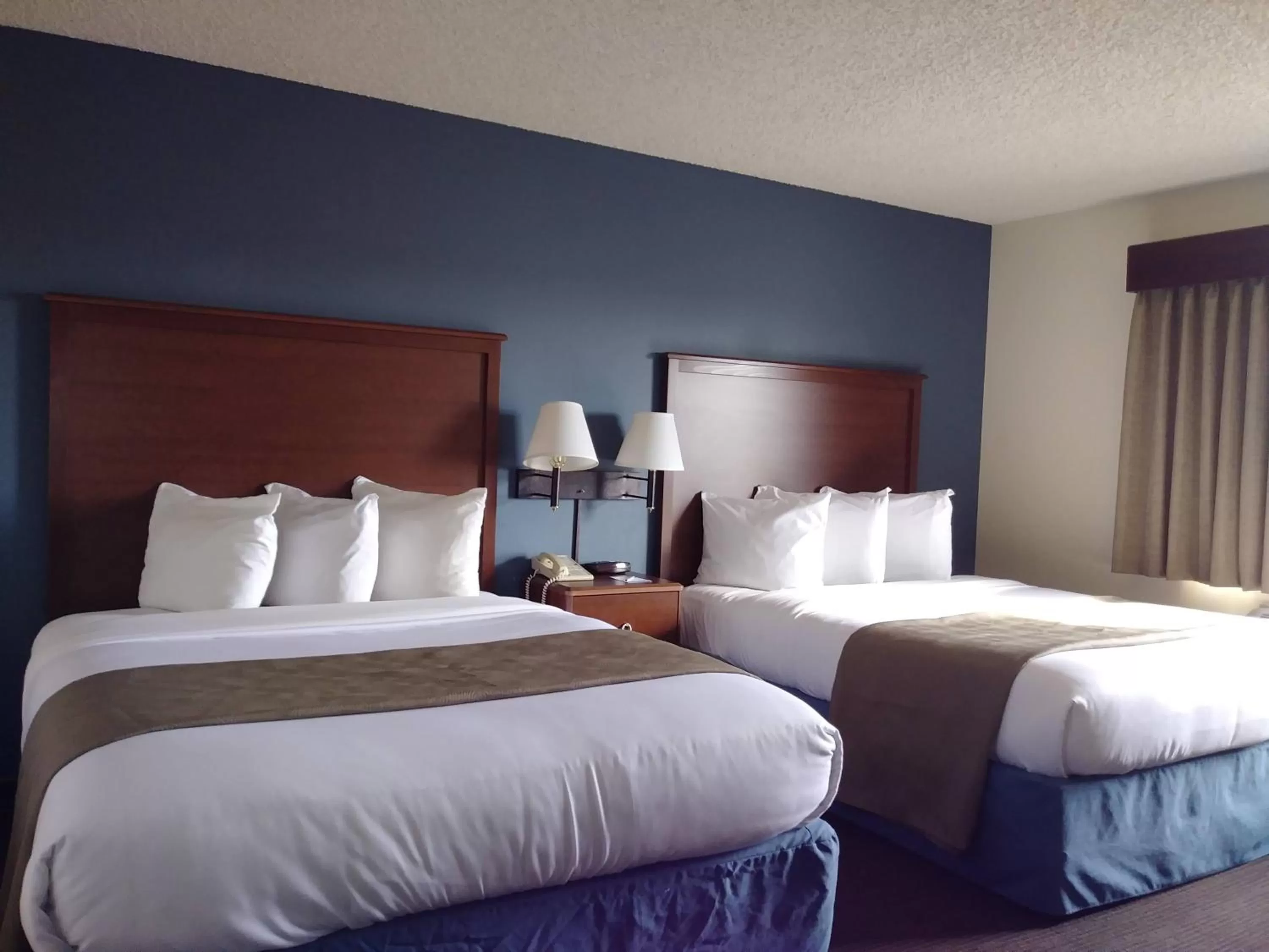 Bed in AmericInn by Wyndham Windsor Ft. Collins