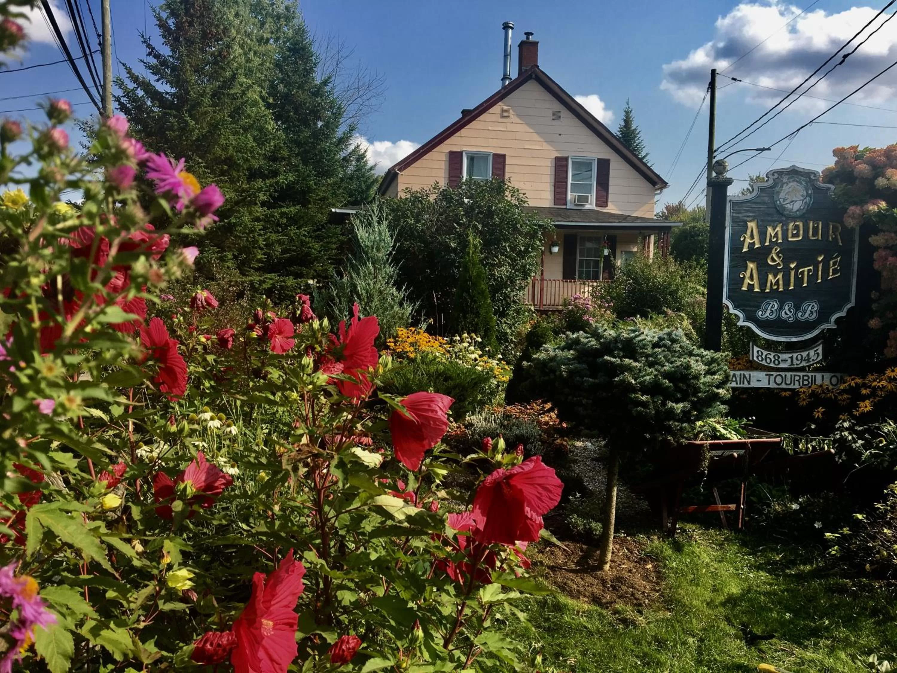 Property building in À Amour et Amitié