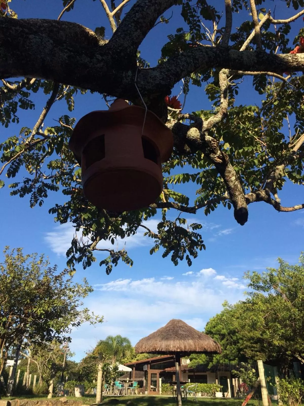 Garden in Pousada Dunasol Floripa