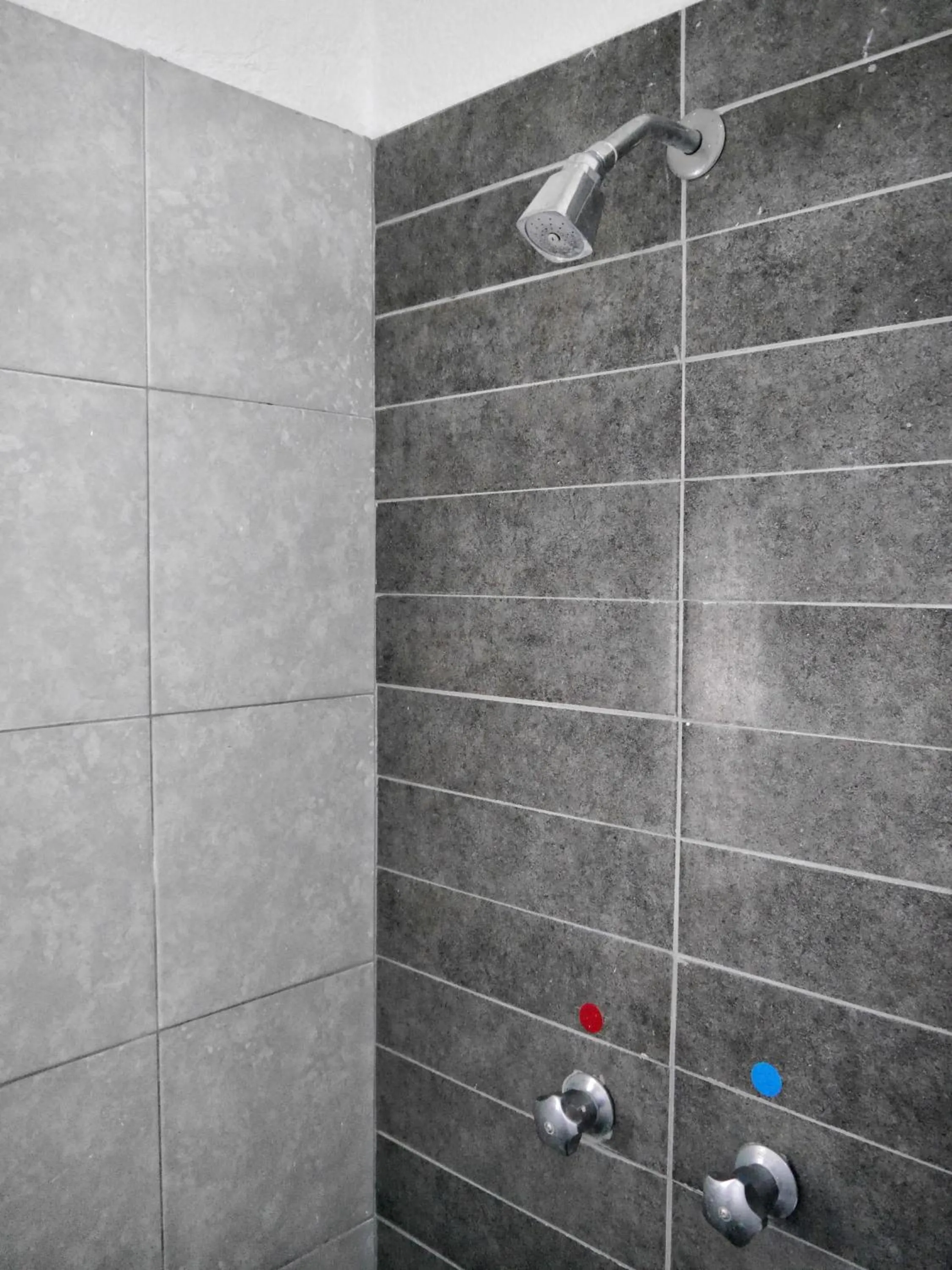 Shower in Hostel Hospedarte Chapultepec