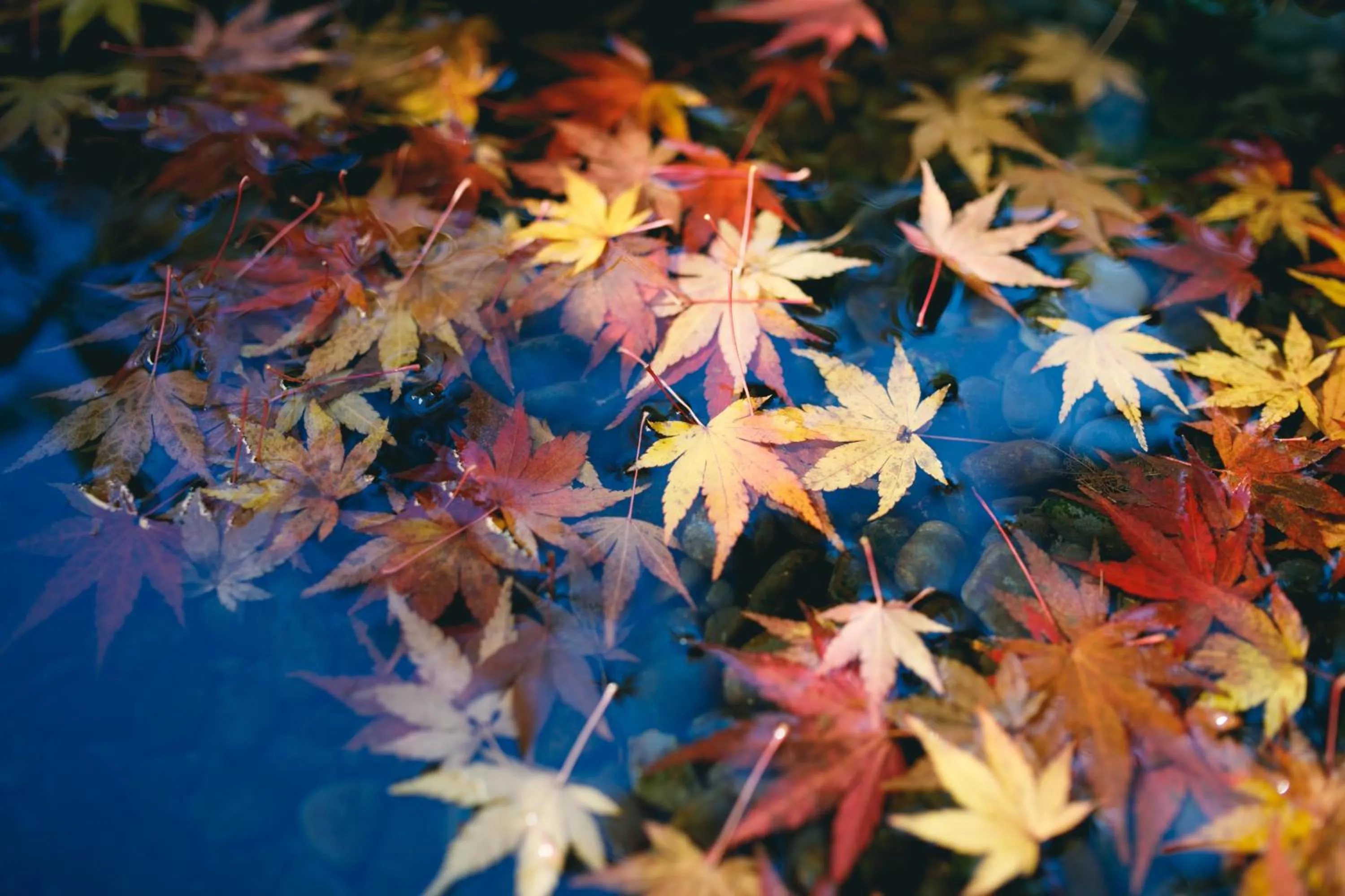 Nearby landmark in Hatori