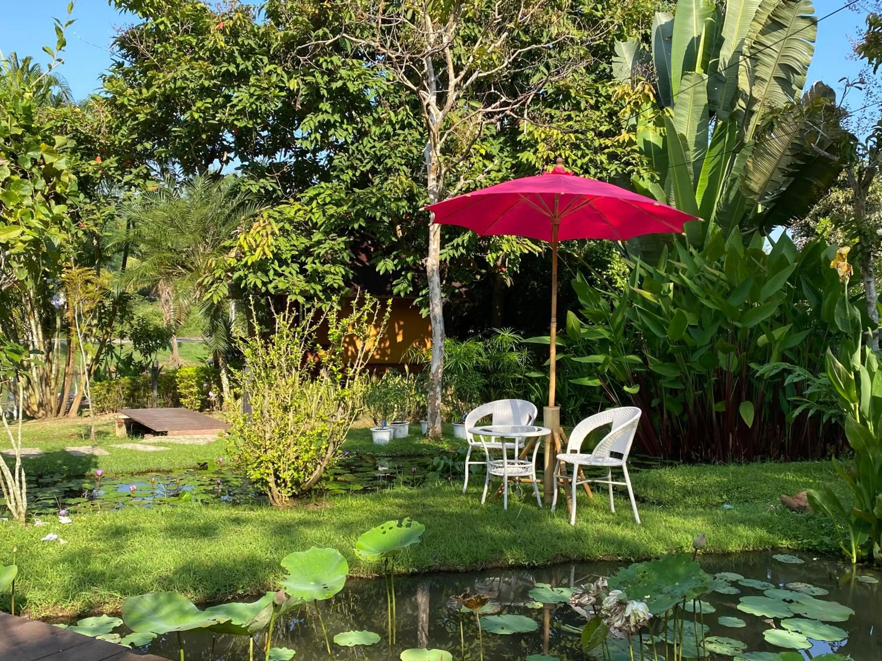 Garden in Pura Vida Pai Resort