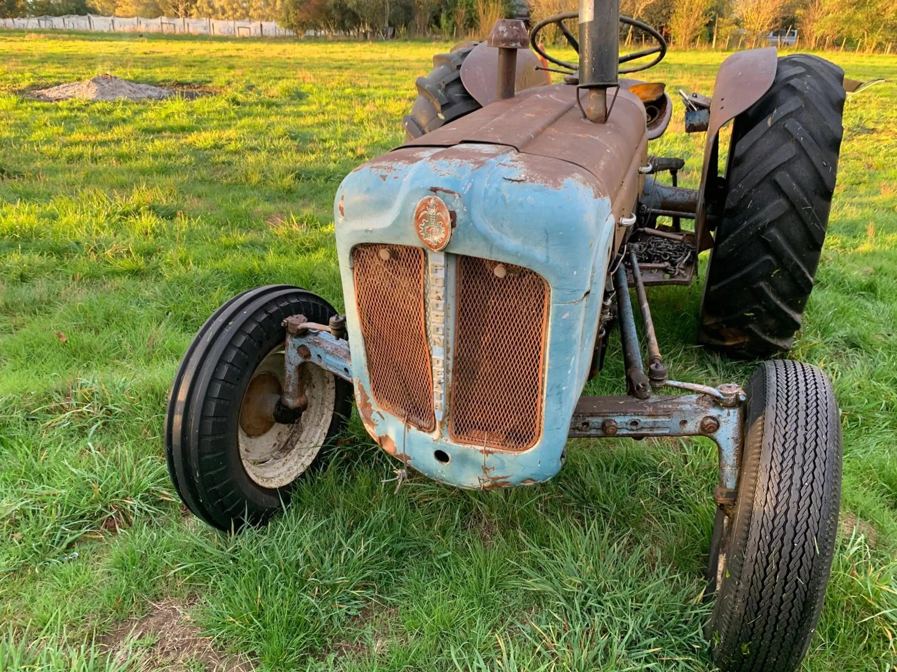 Decorative detail, Children in Quail Farm, Colonial charm