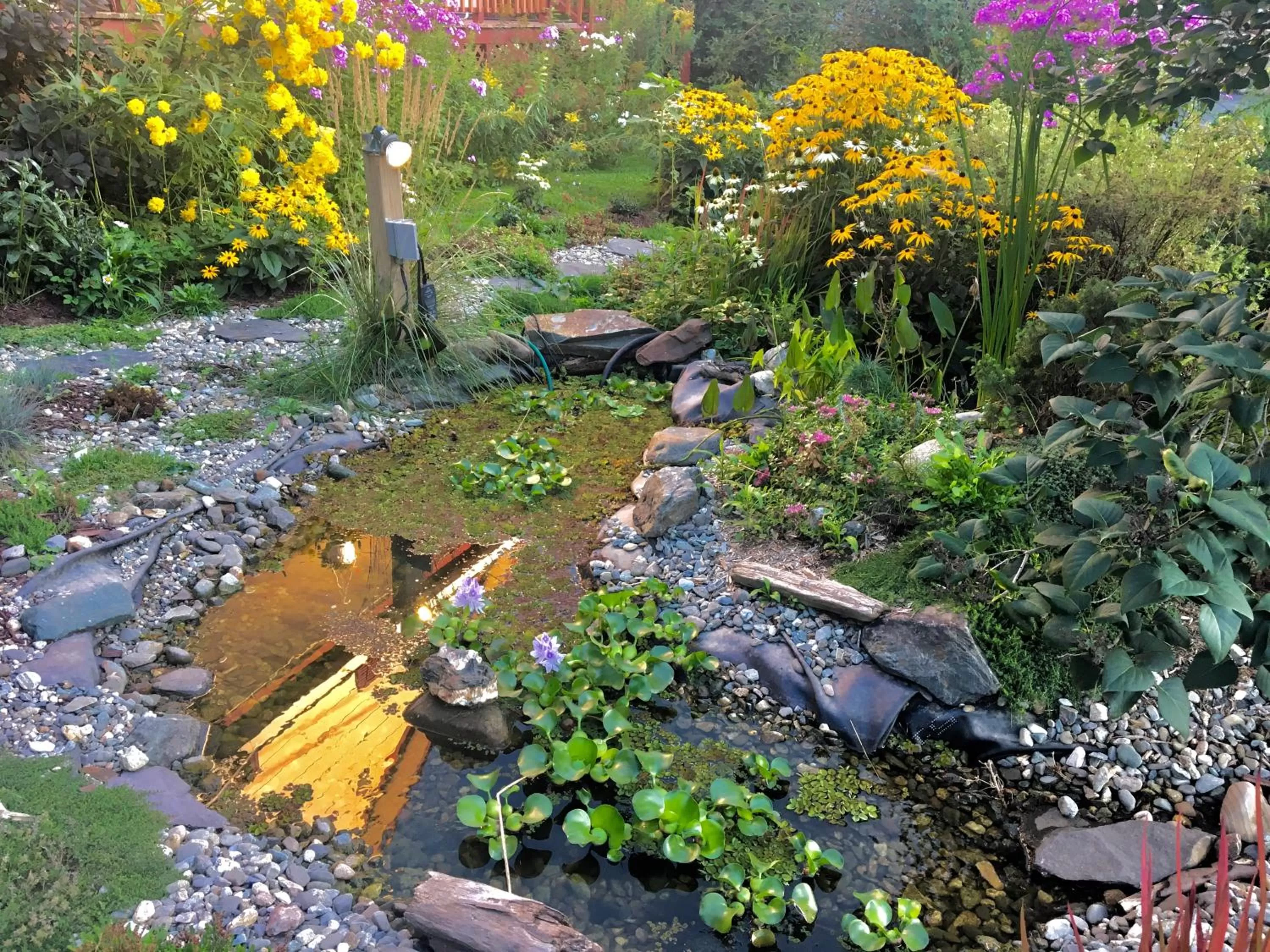 Property building in À Amour et Amitié