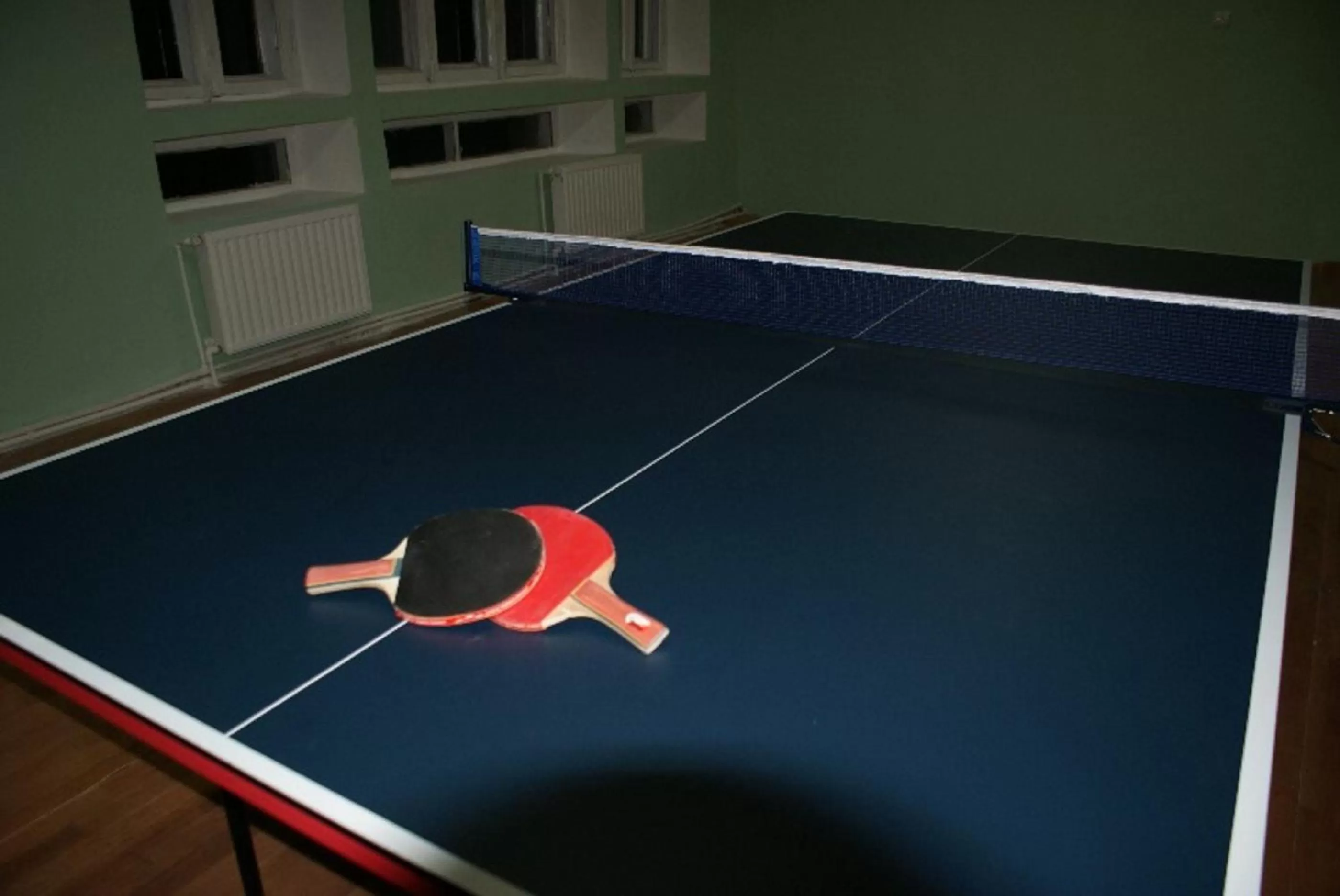 Game Room, Table Tennis in Odzun Hotel