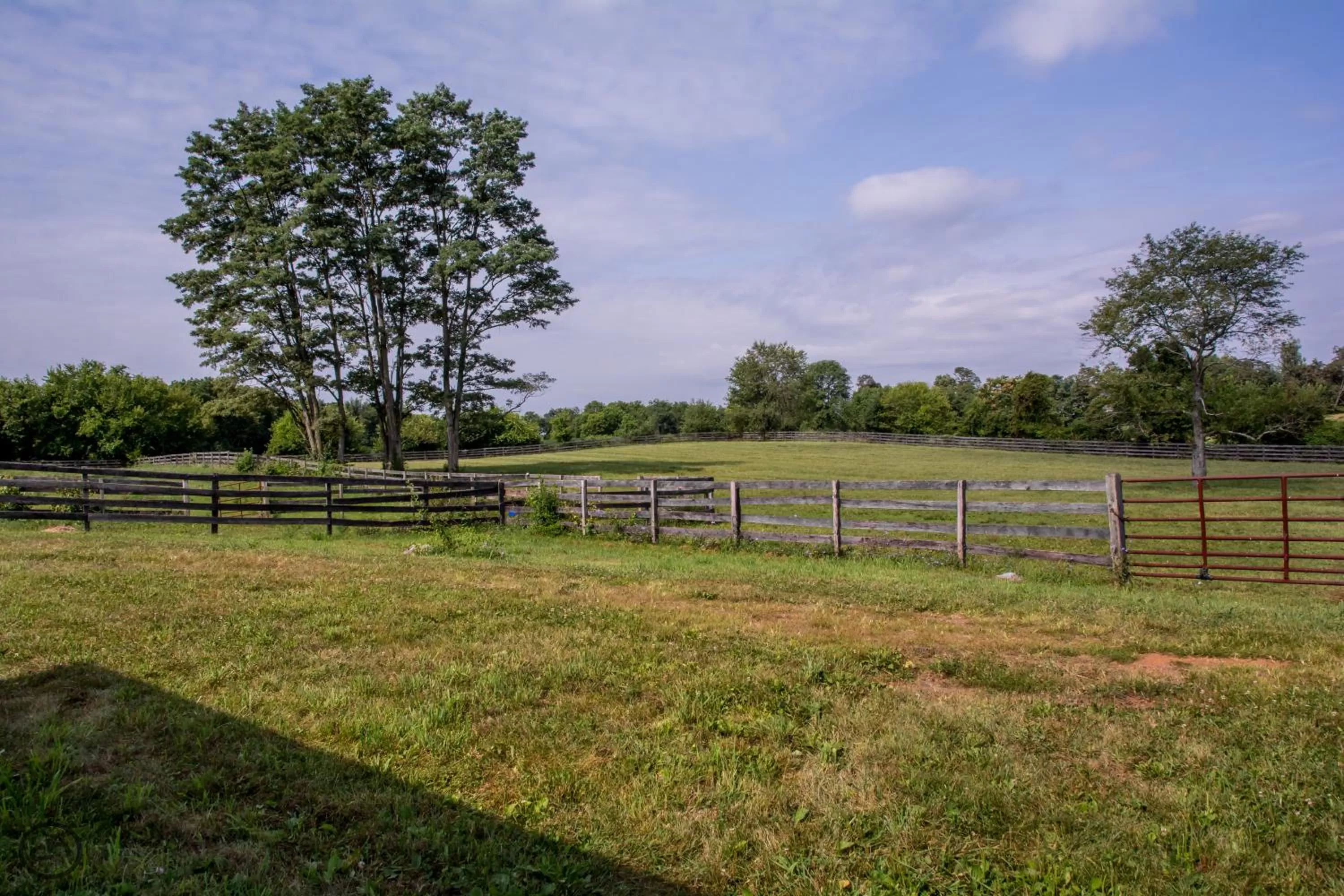 Natural landscape in Pheasant Field Bed and Breakfast