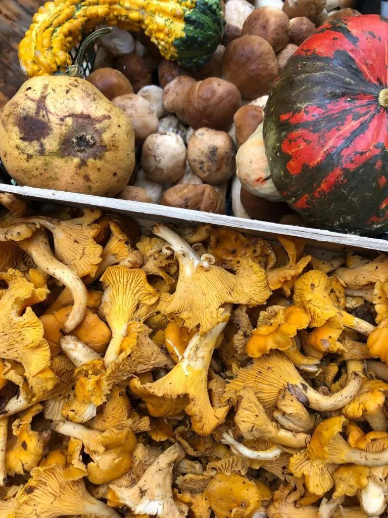 Food and drinks in Locanda Al Centrale