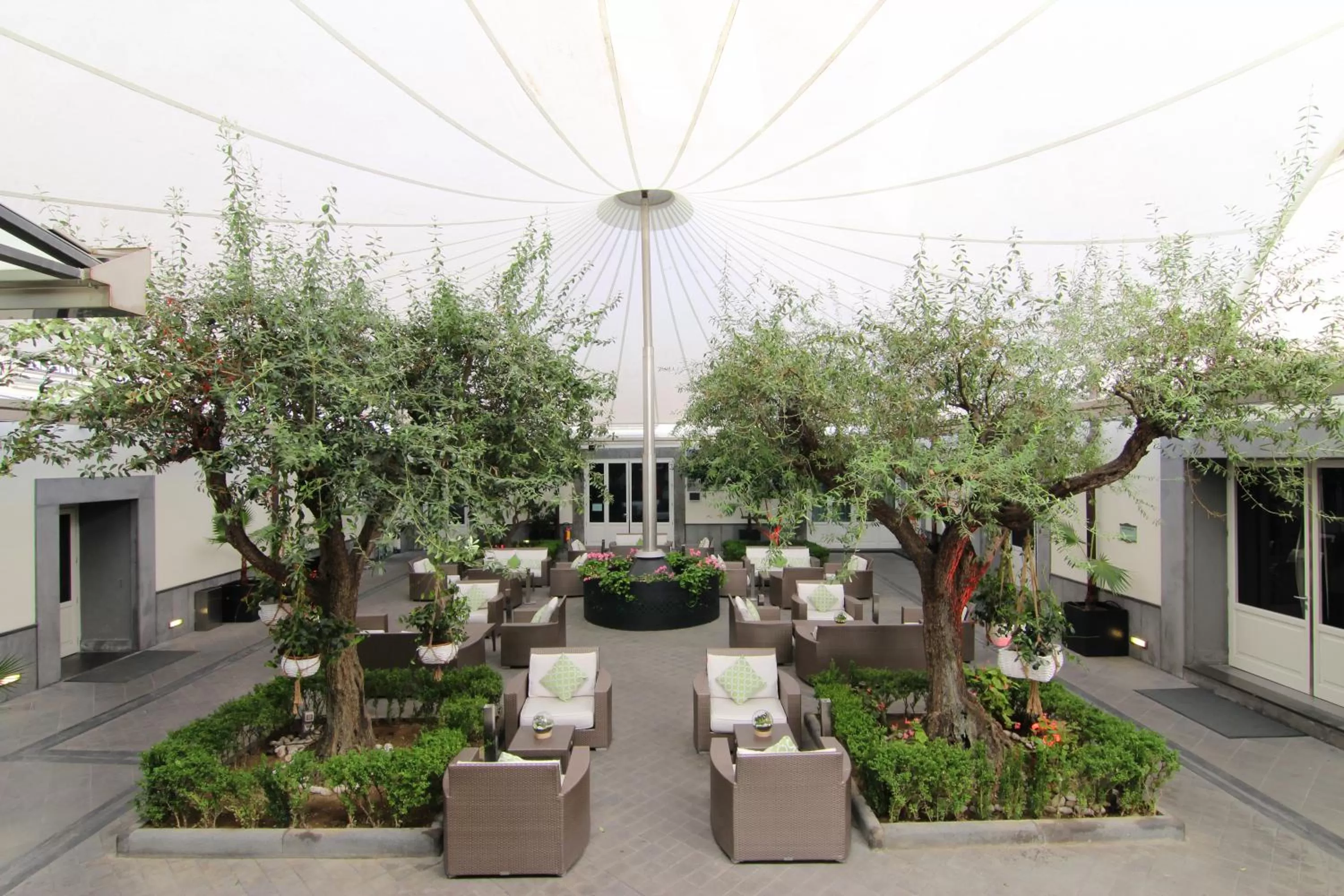 Garden in Palazzo Caracciolo Naples