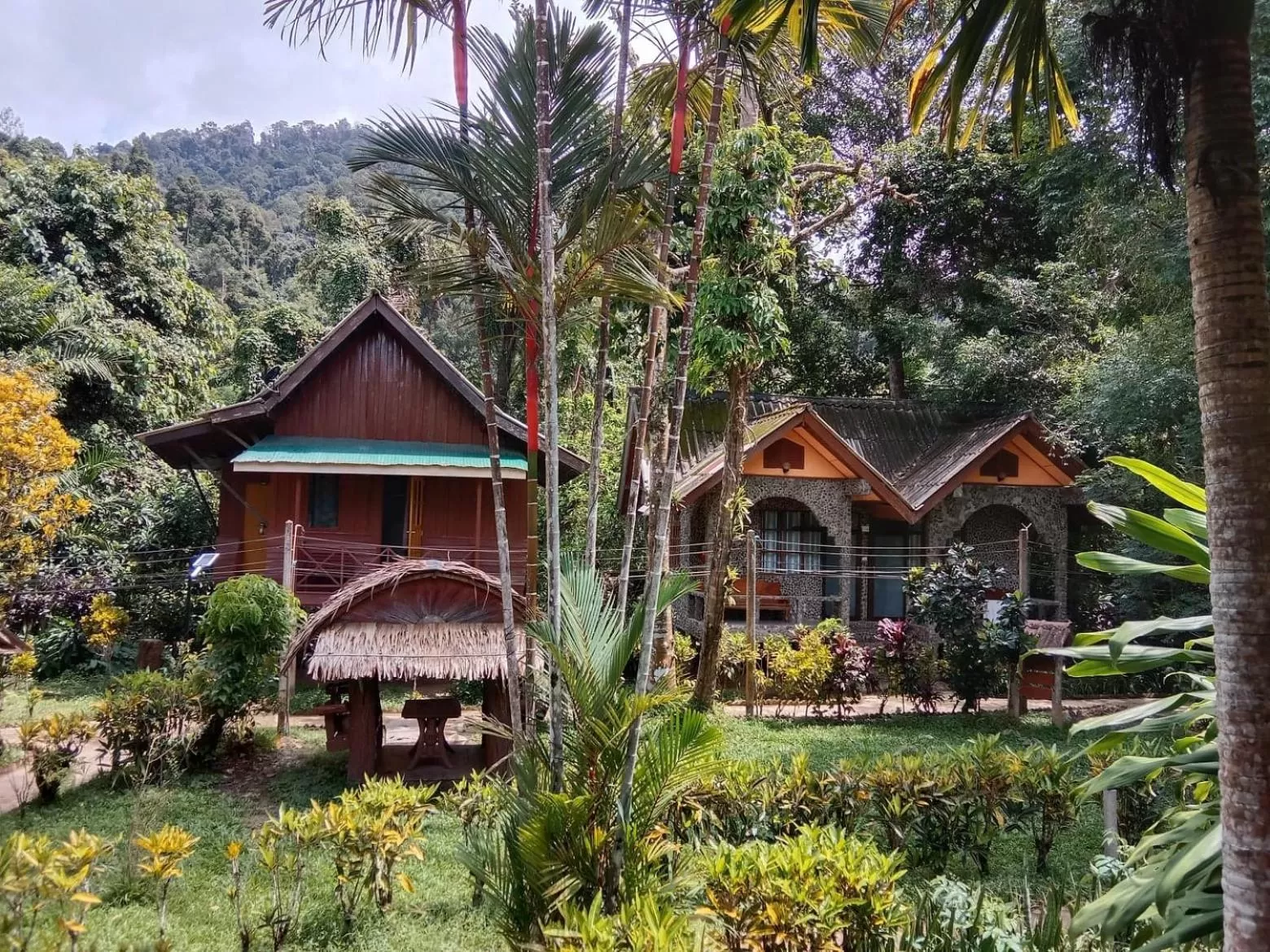 Tree Tops River Huts
