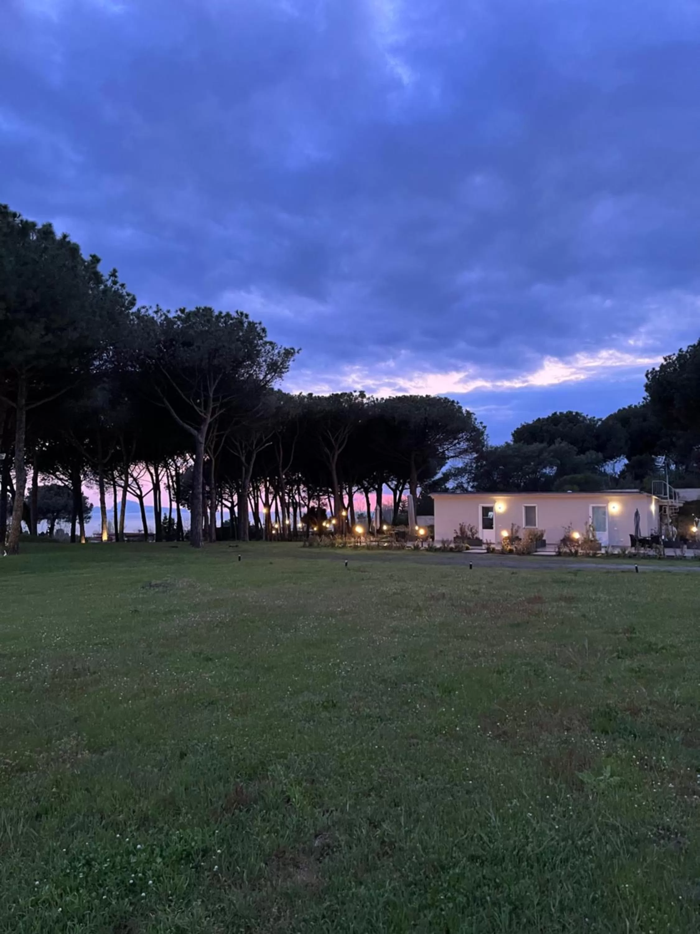 Natural landscape in Bosco Mattavona