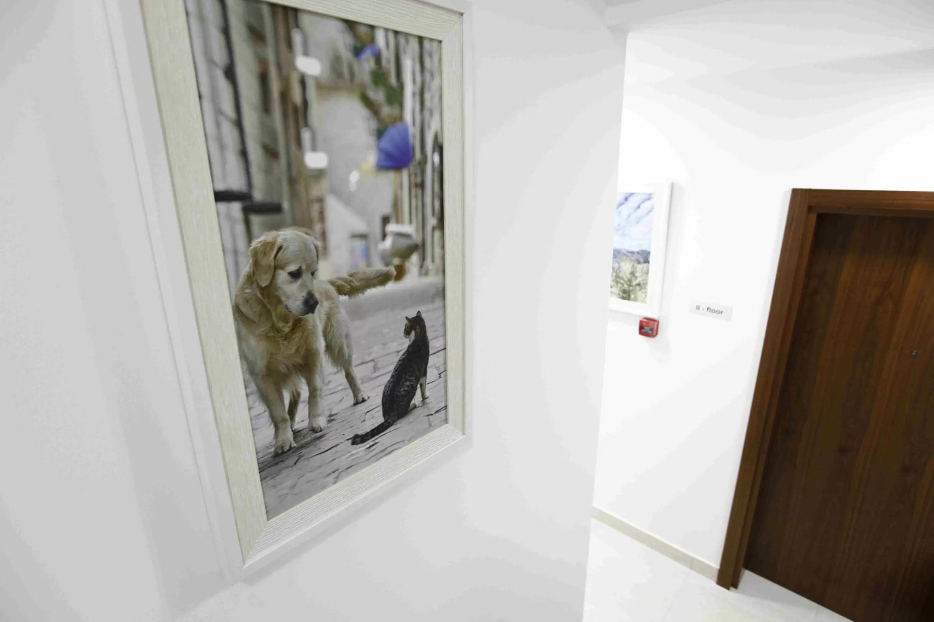 Decorative detail in Arka