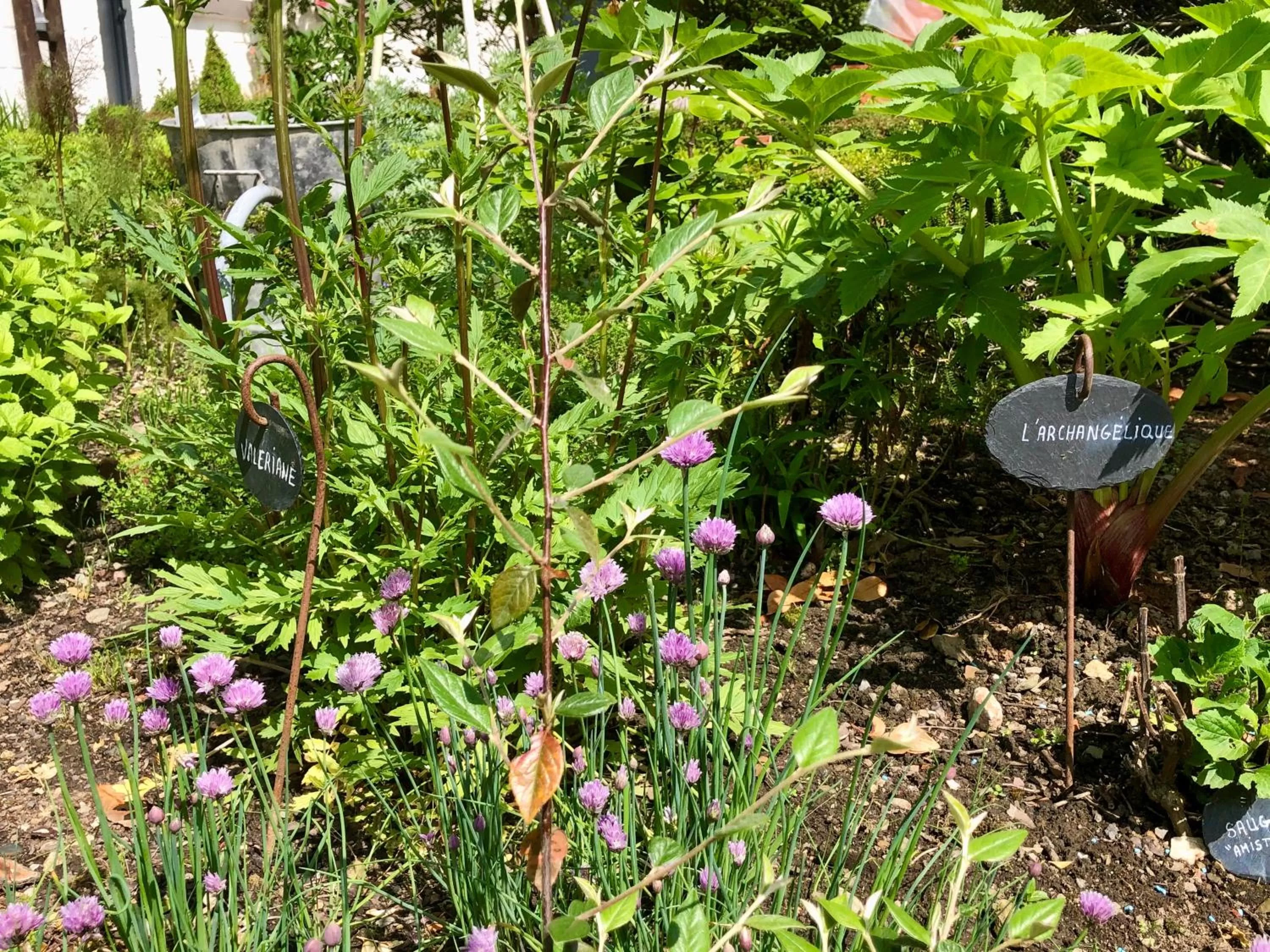 Garden in Le Grenier du Jardin