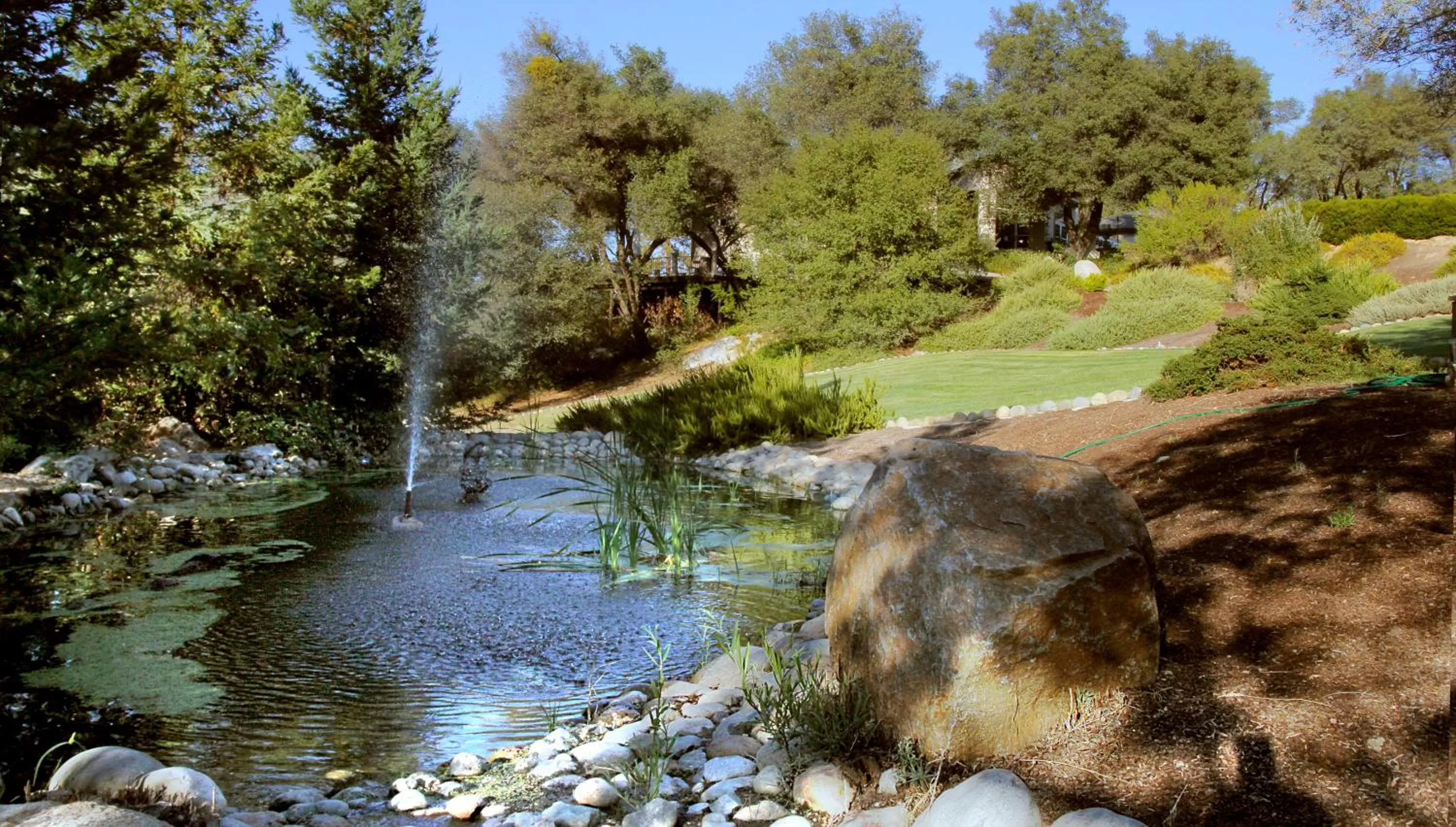 Garden in Bella Vista Bed and Breakfast