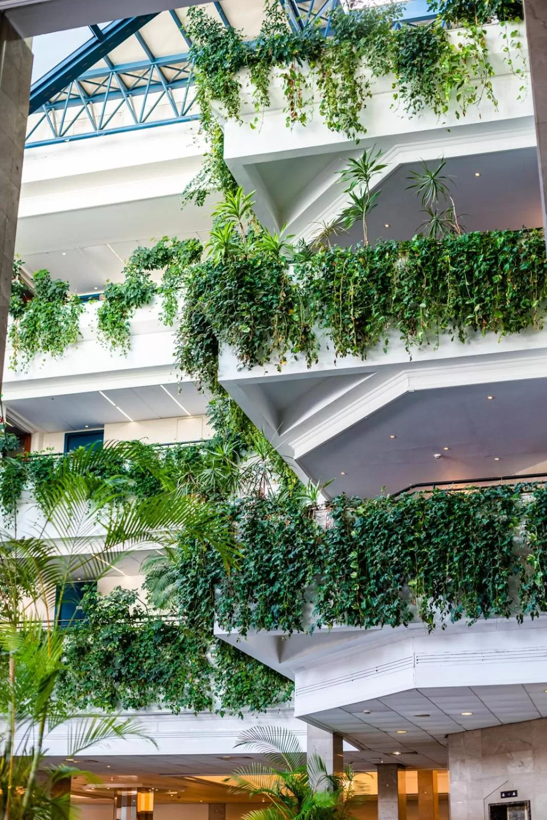 Lobby or reception in Louis Phaethon Beach