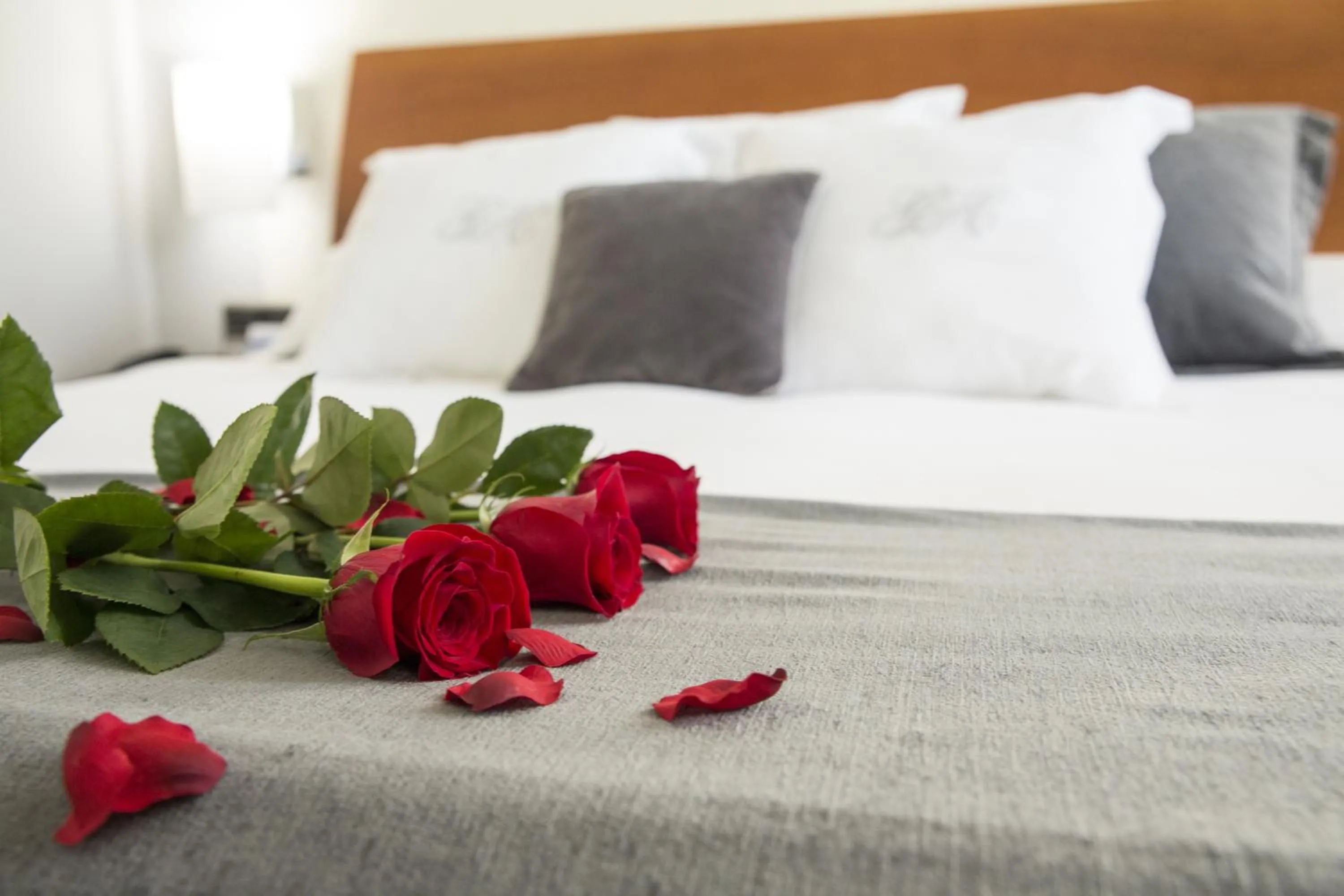 Bed in Gran Hotel Albacete