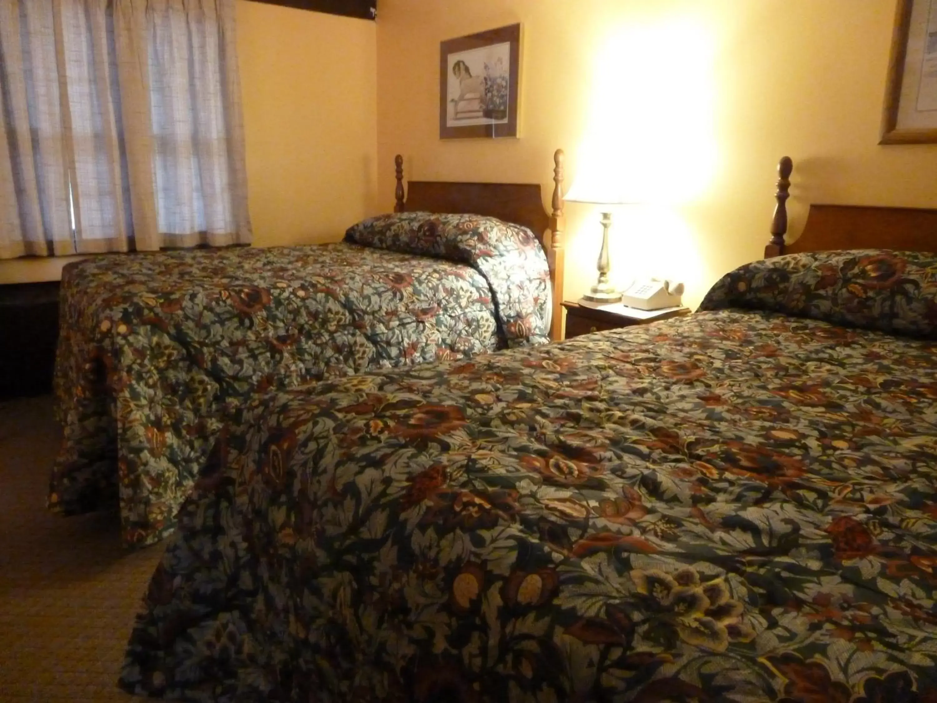 Deluxe Double Room in Viking Motel Deluxe Double Room in Viking Motel