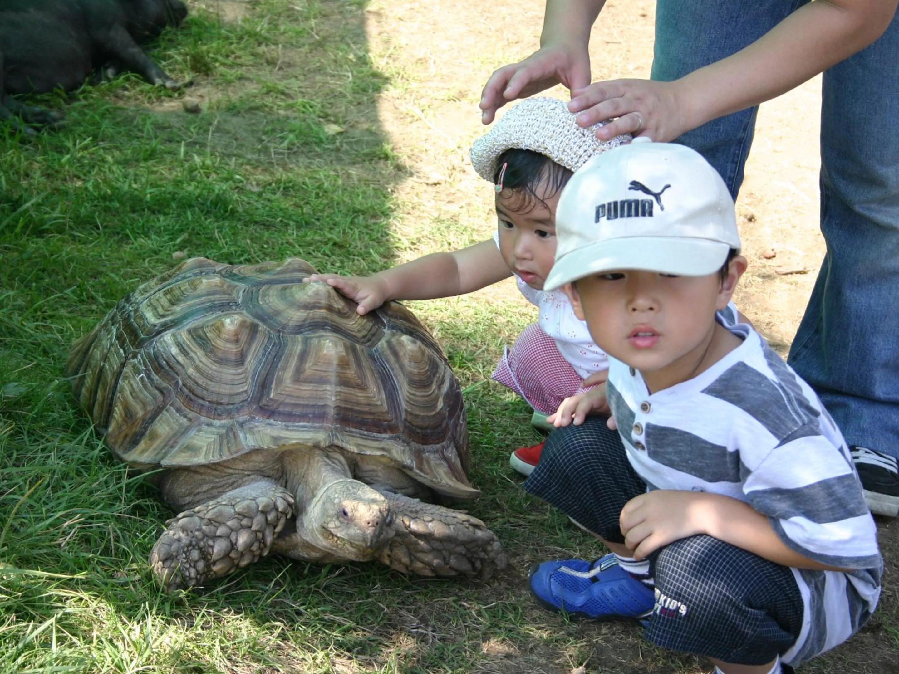 Animals in Jozankei View Hotel