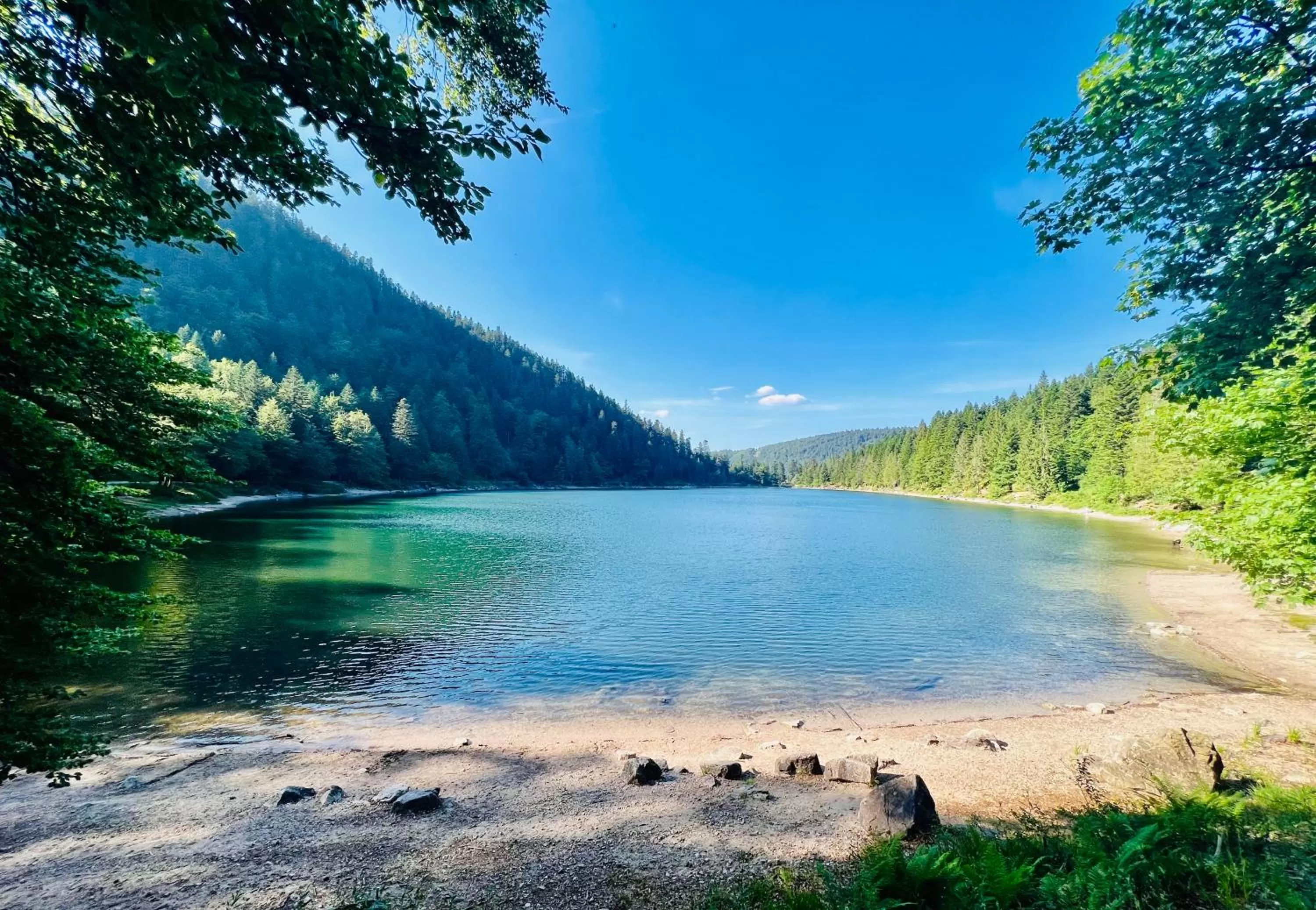 Mountain view in LOGIS HÔTEL, CHALETS et RESTAURANT LES CHATELMINÉS