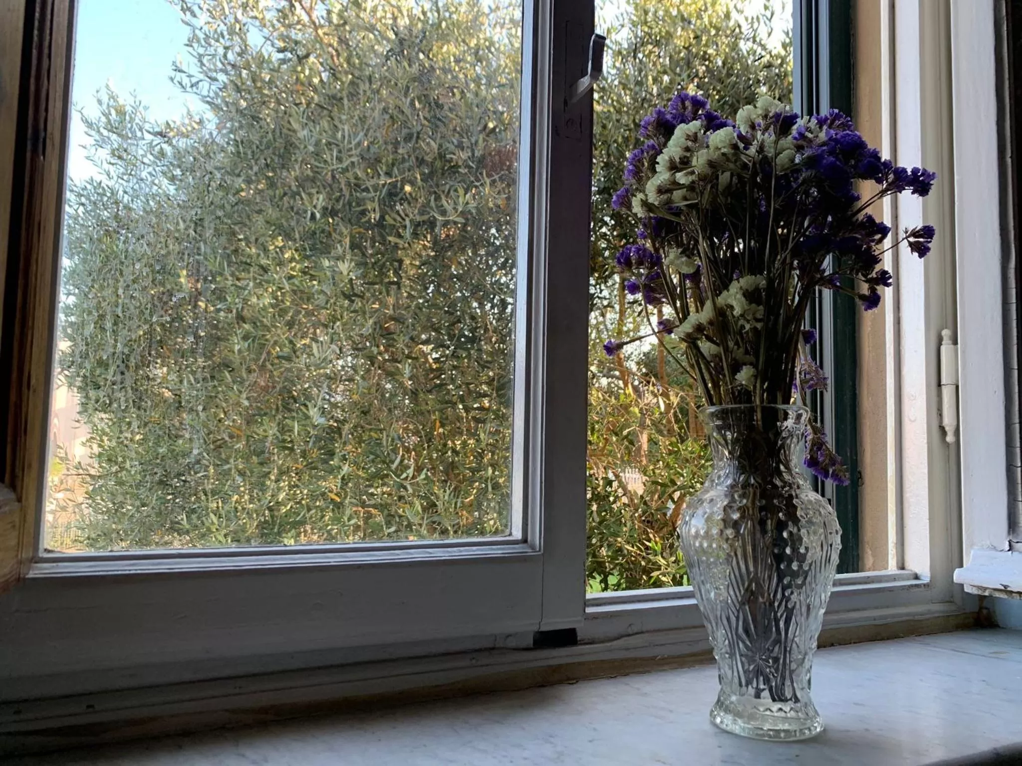 Bed and Breakfast Villa Adelina