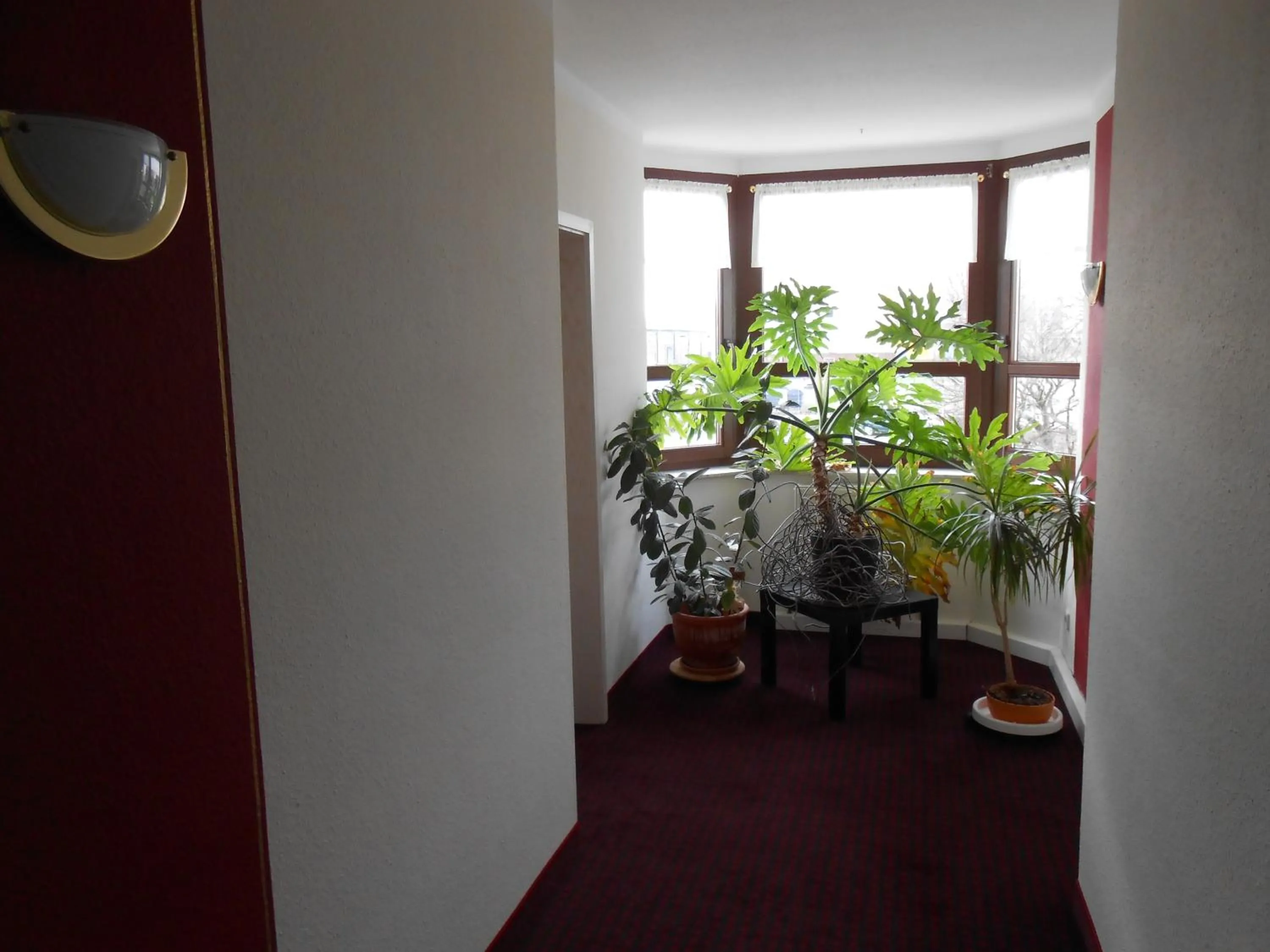 Other in Hotel Weisse Elster