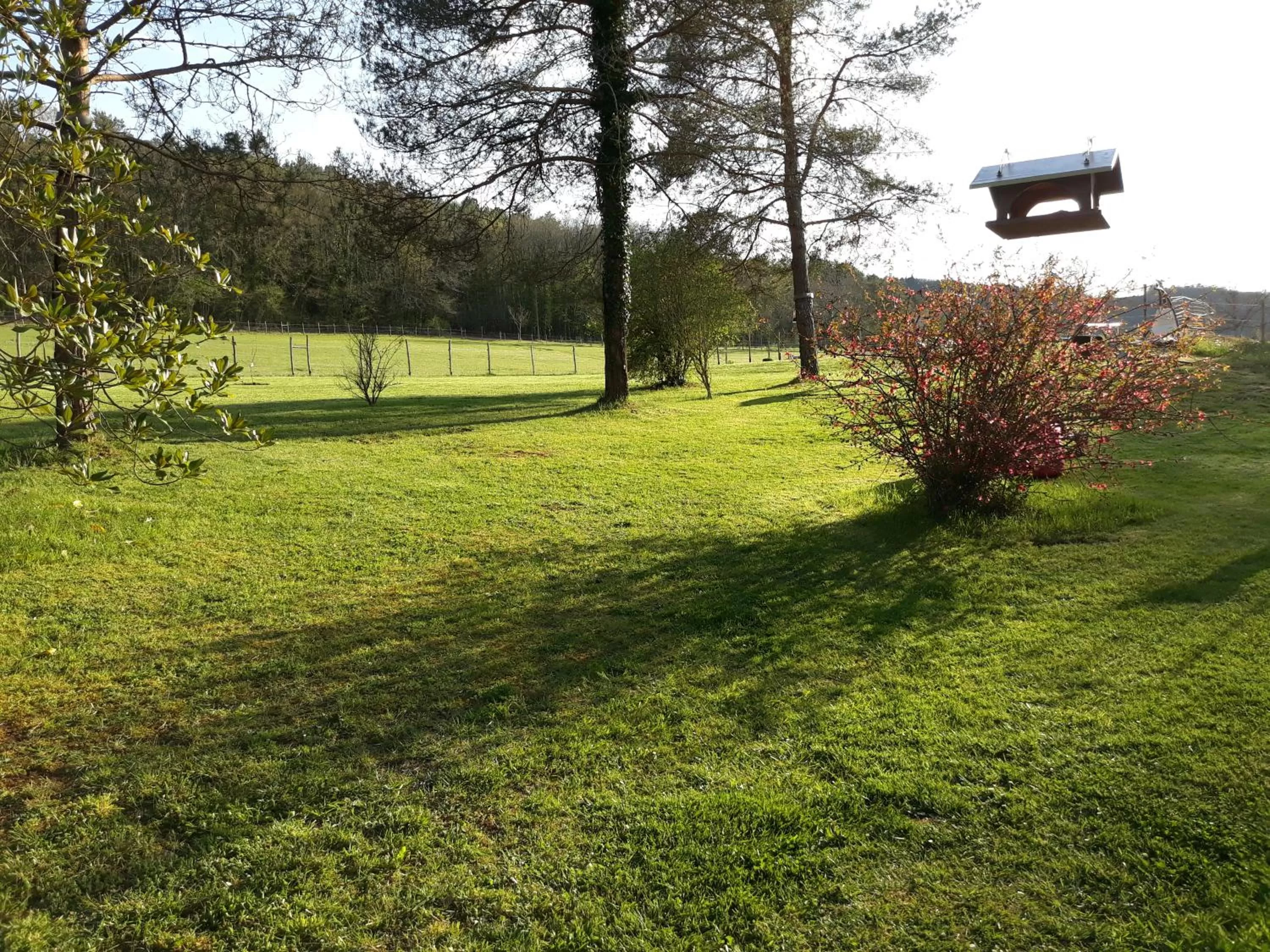 Garden in Ferme des Petites Oreilles 4 étoiles