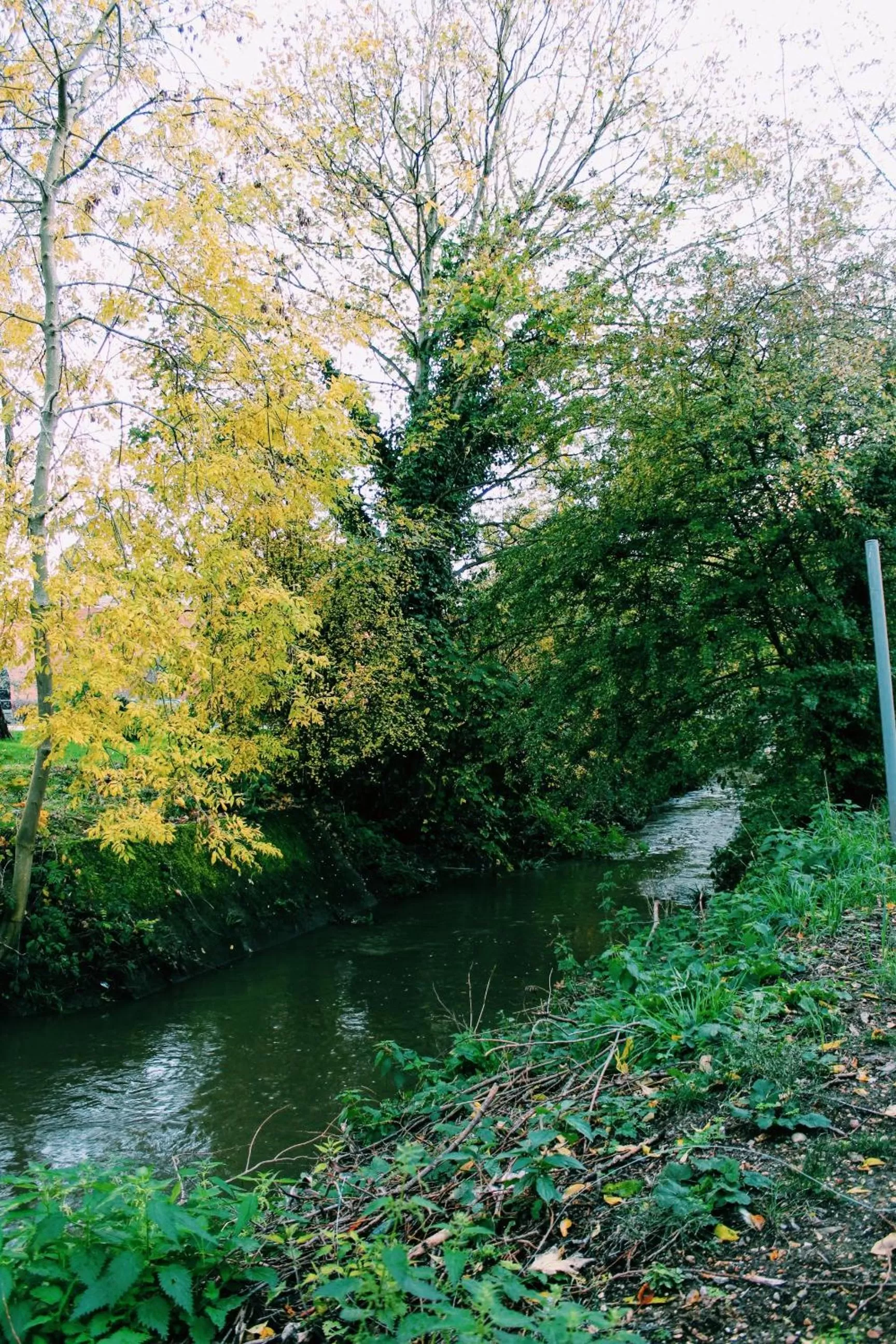 River view in Lancaster Hotel