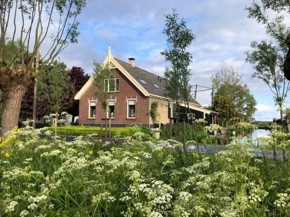 Property Building in De Hostee