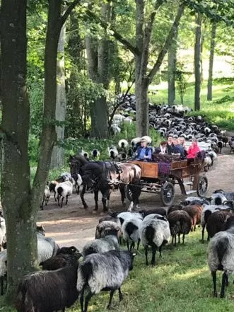 Animals, Other Animals in Hotel Heidpark