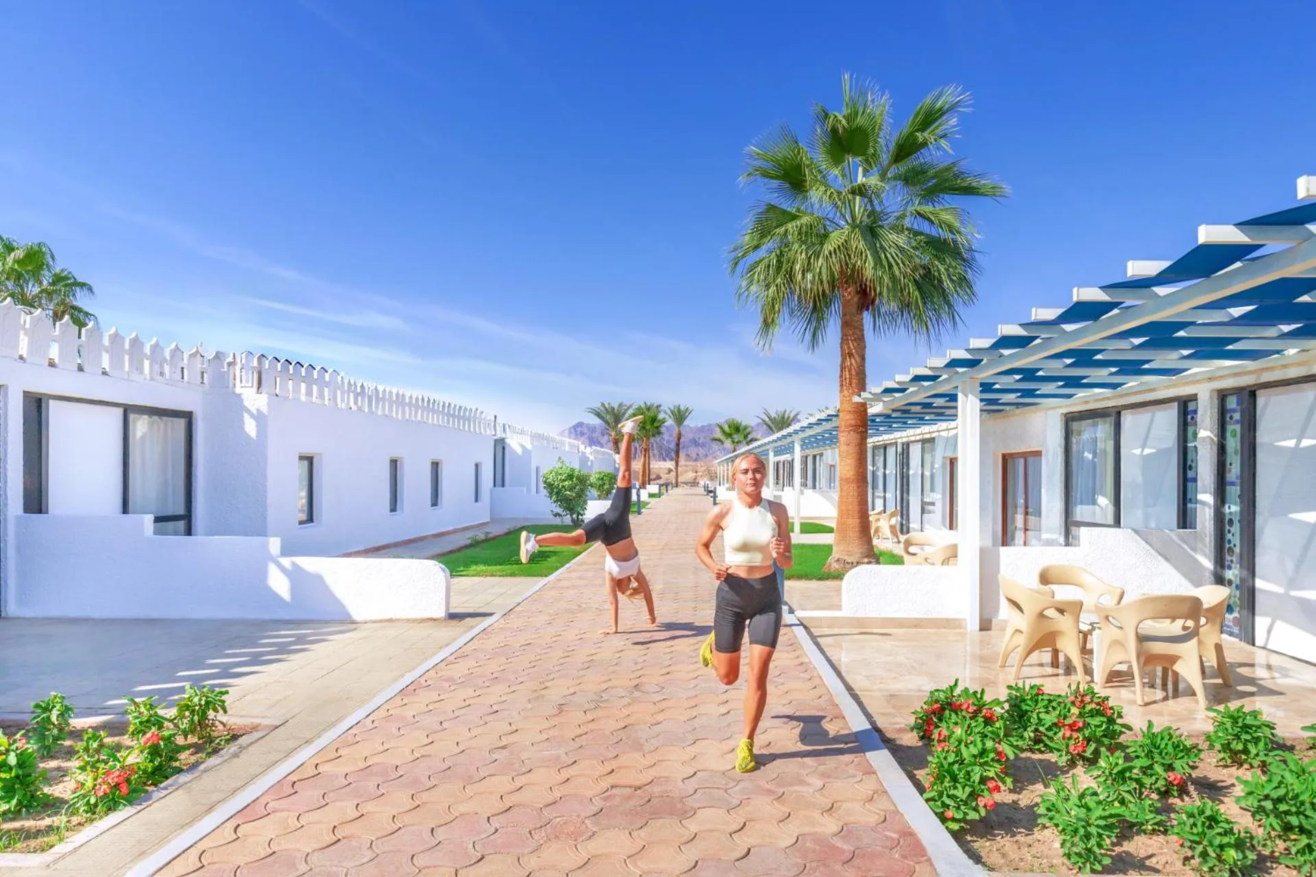 Day in Albatros Sharm Resort - By Pickalbatros