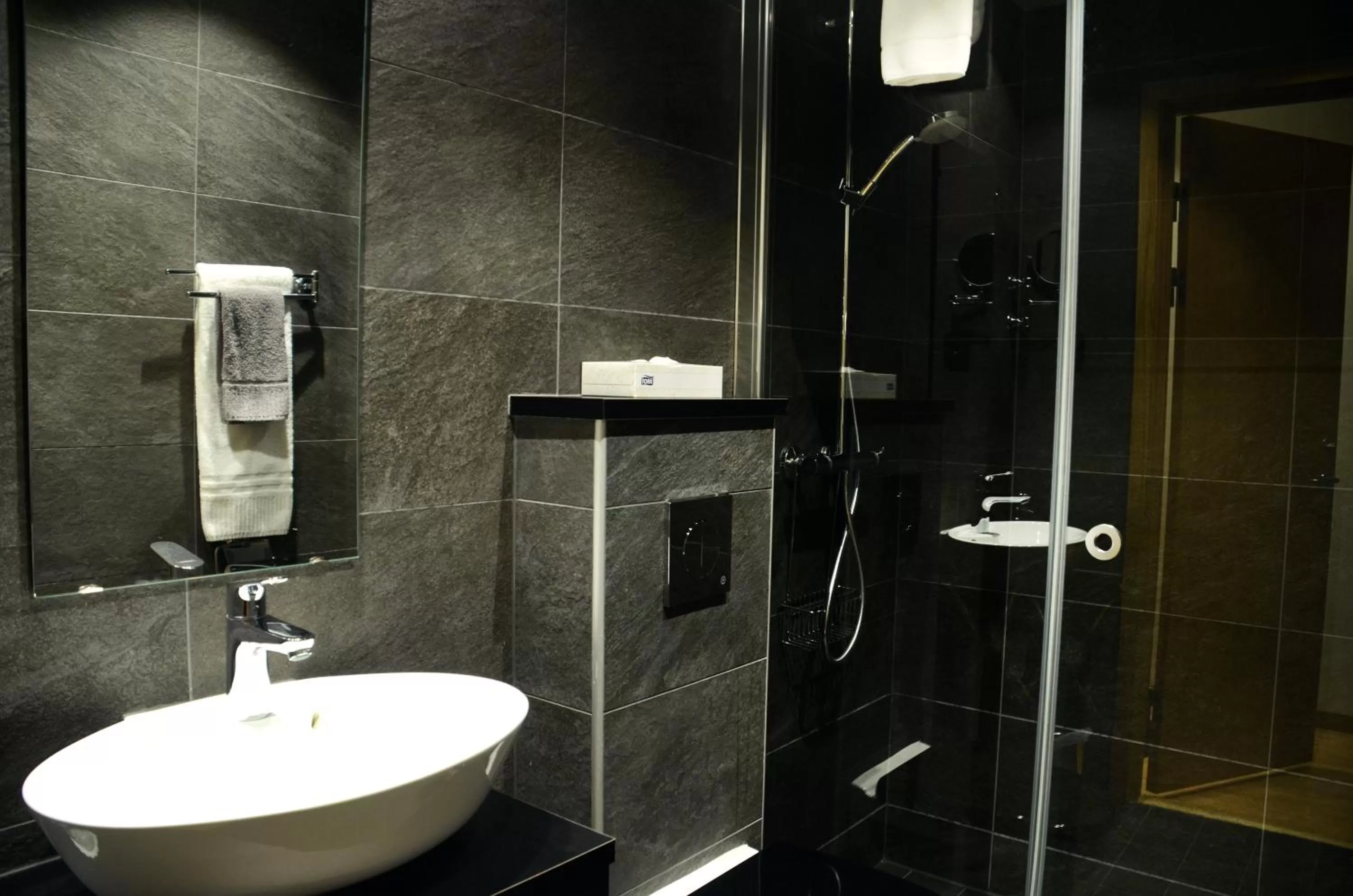 Shower in Home Hotel Bilan