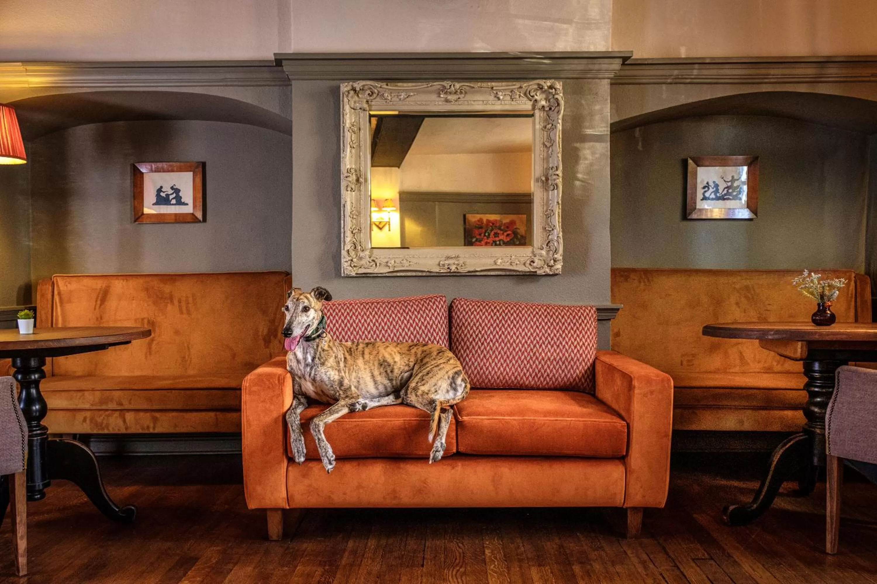 Restaurant/places to eat in The Feathers Holt