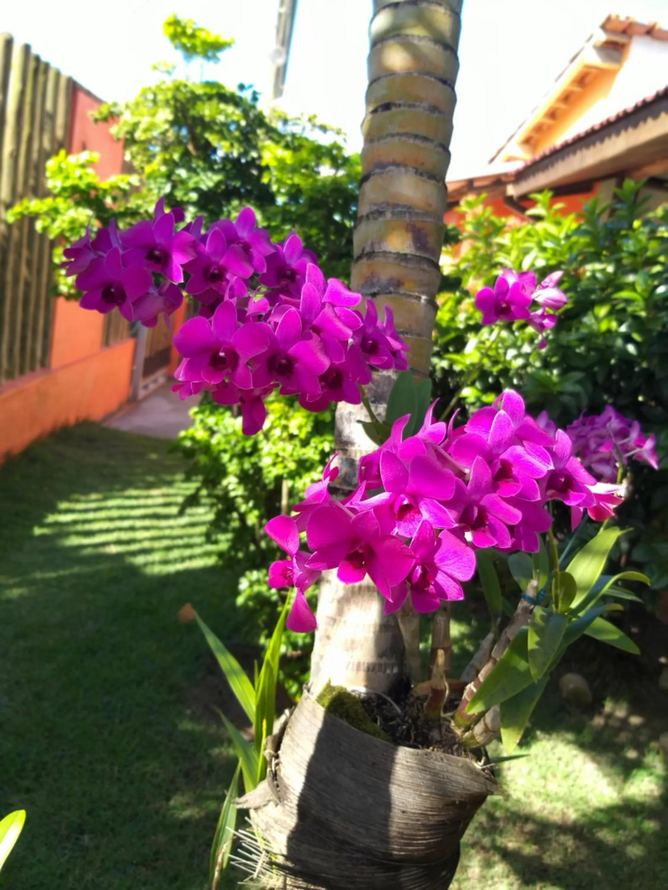 Garden in Pousada Coral de Fogo