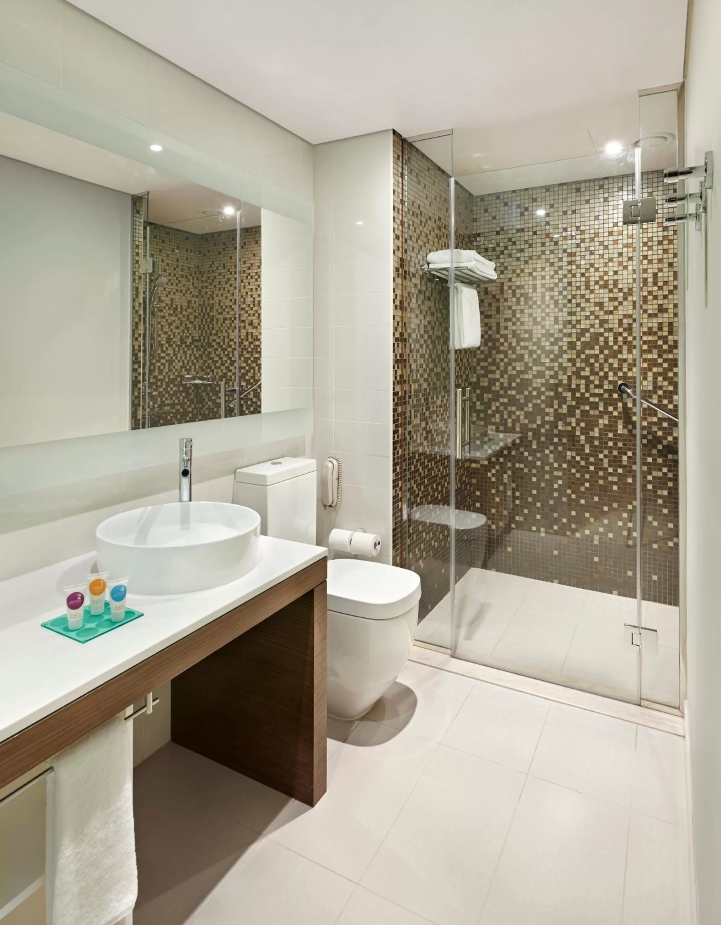 Bathroom in Hyatt Place Dubai Al Rigga Residences