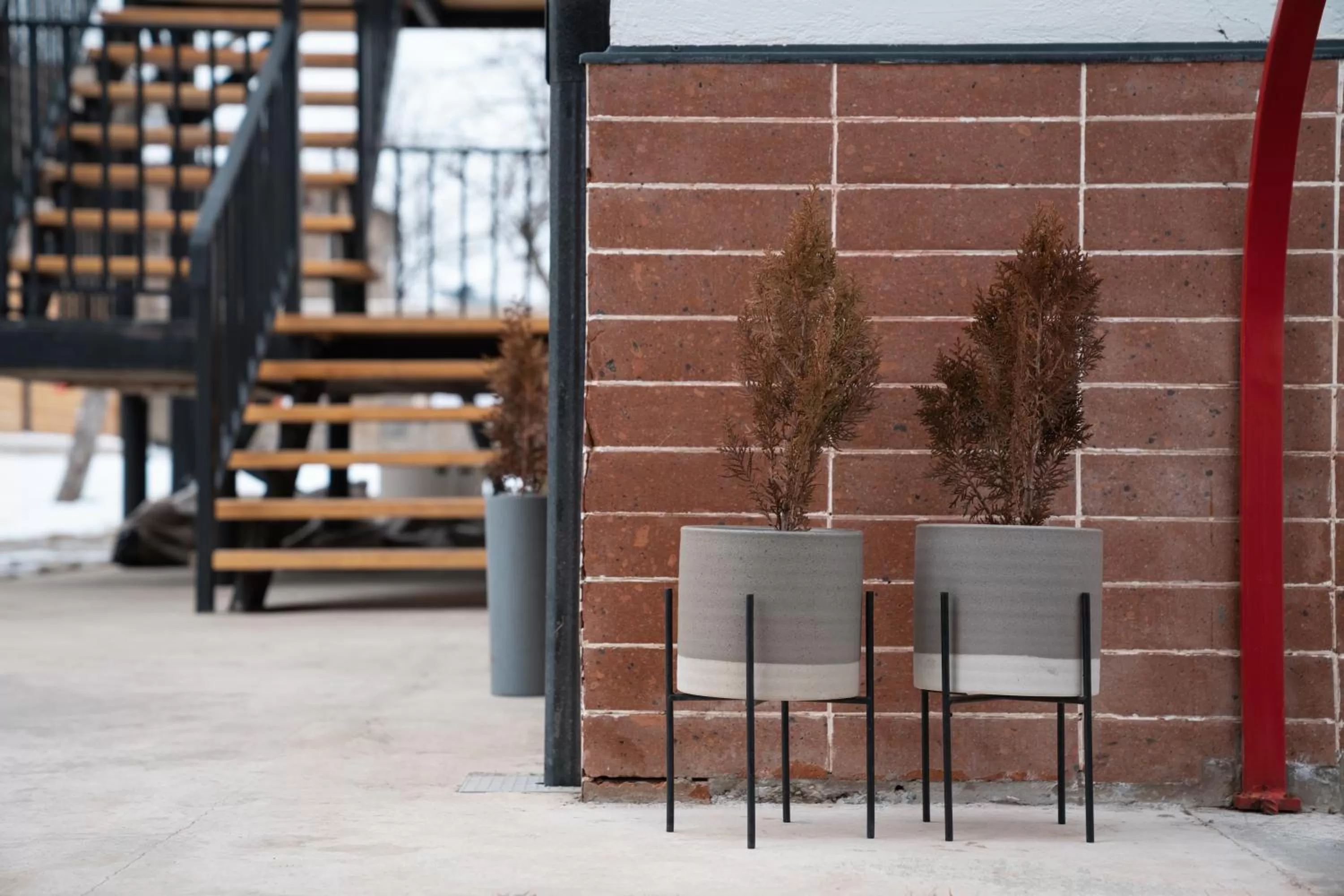 Garden in Major's House Hotel