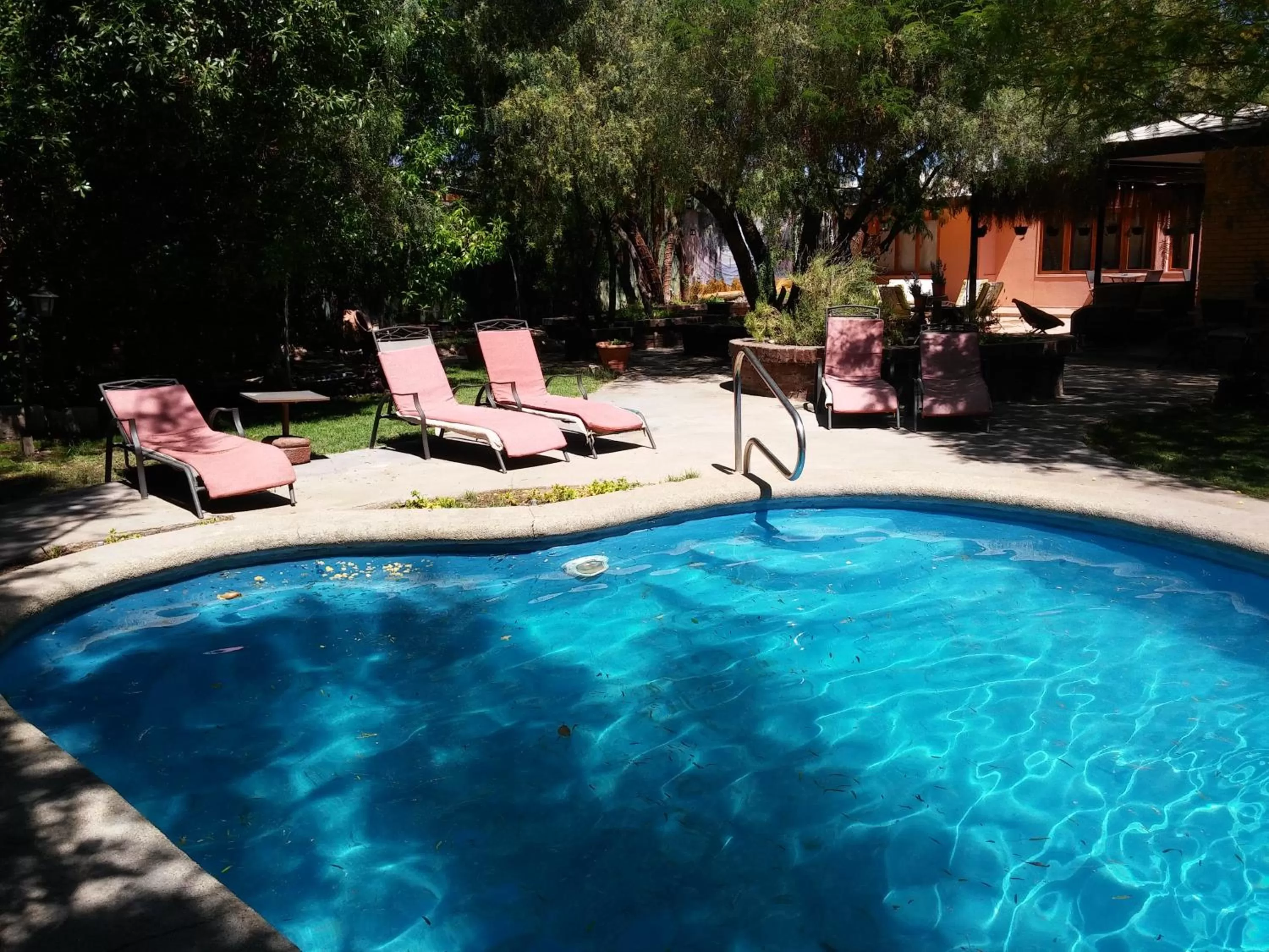 Day, Swimming Pool in Atankalama