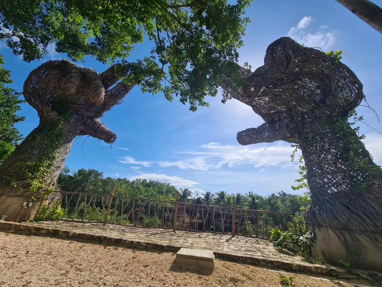 Natural landscape in Zenote Sanctuary