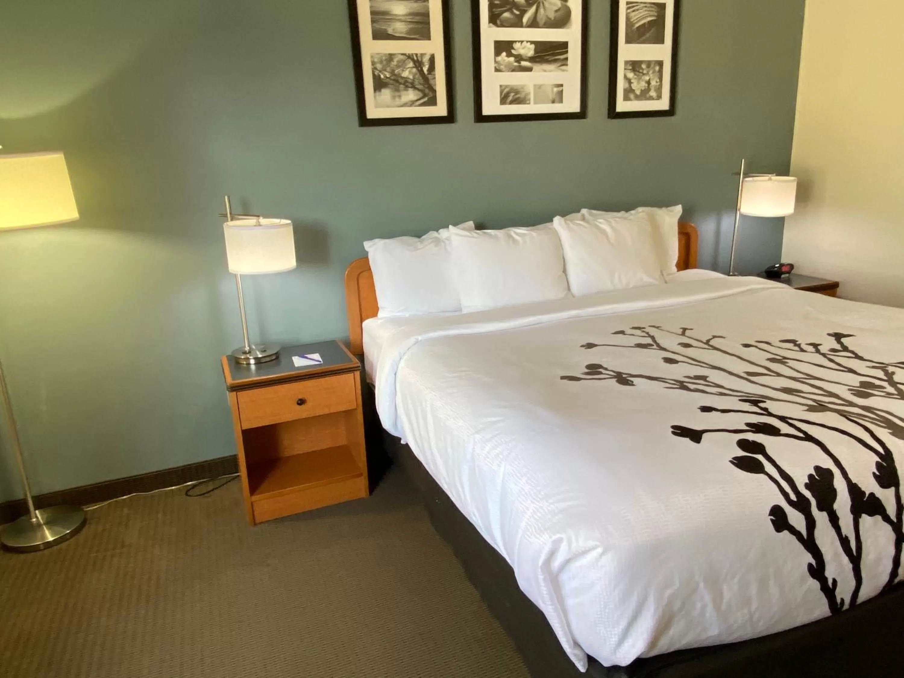 King Room - Non-Smoking in Sleep Inn & Suites Davenport - Quad Cities