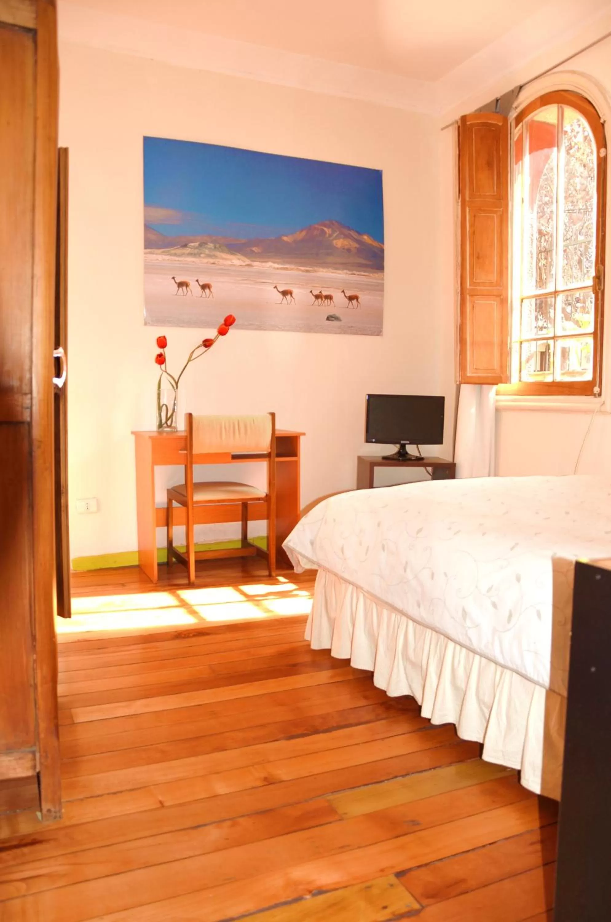 Photo of the whole room in Tralkan B&B