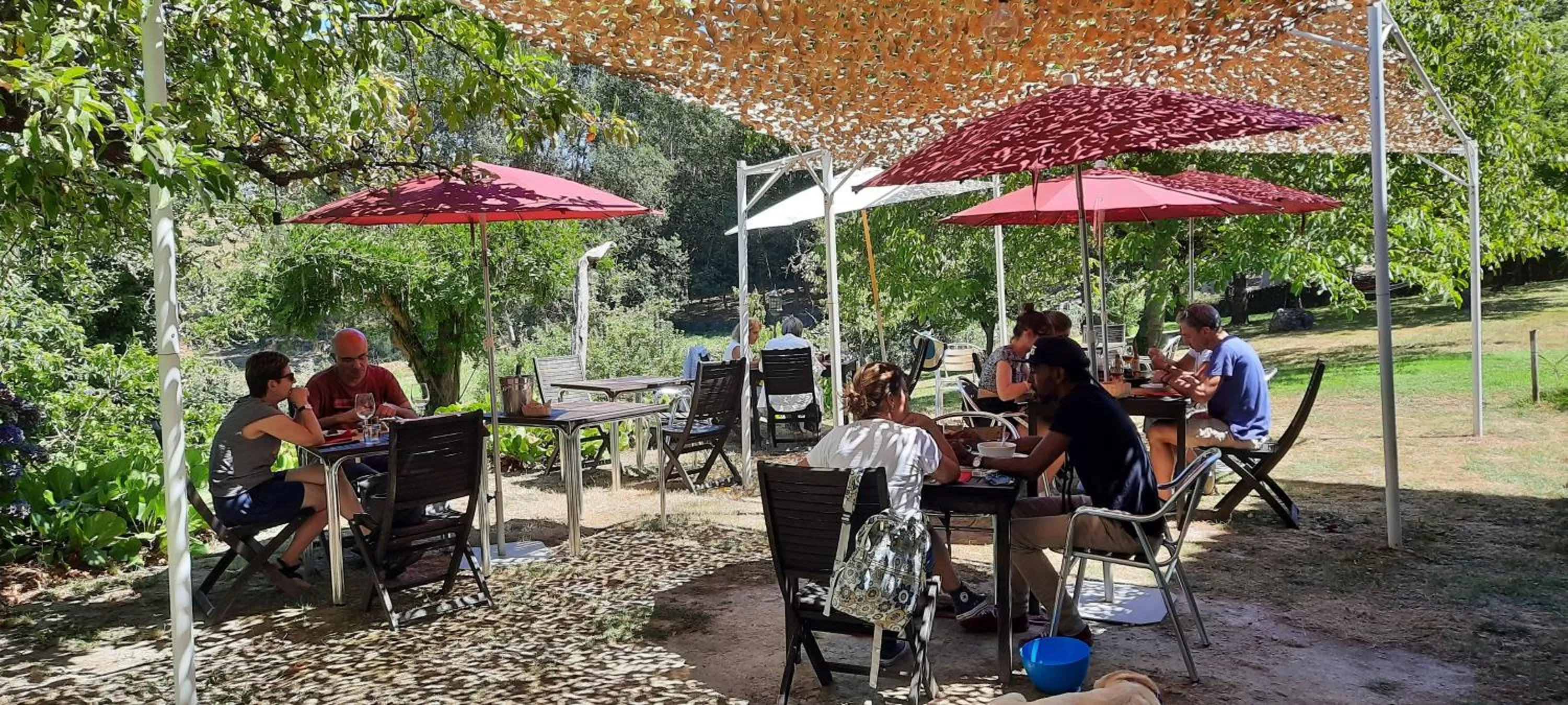 Restaurant/places to eat in Rectoral de Anllo