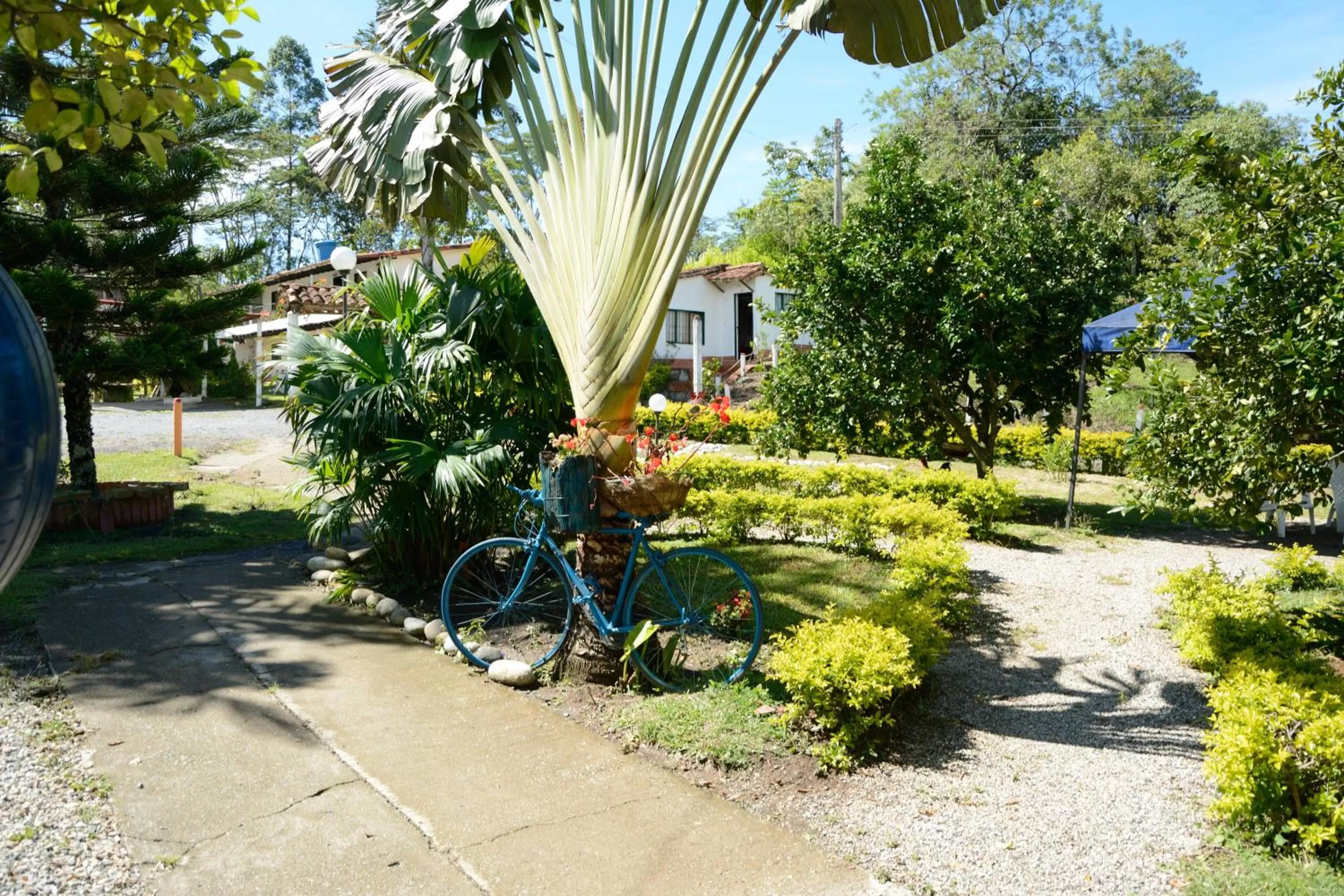 Garden in Hotel Campestre la Loma curiti