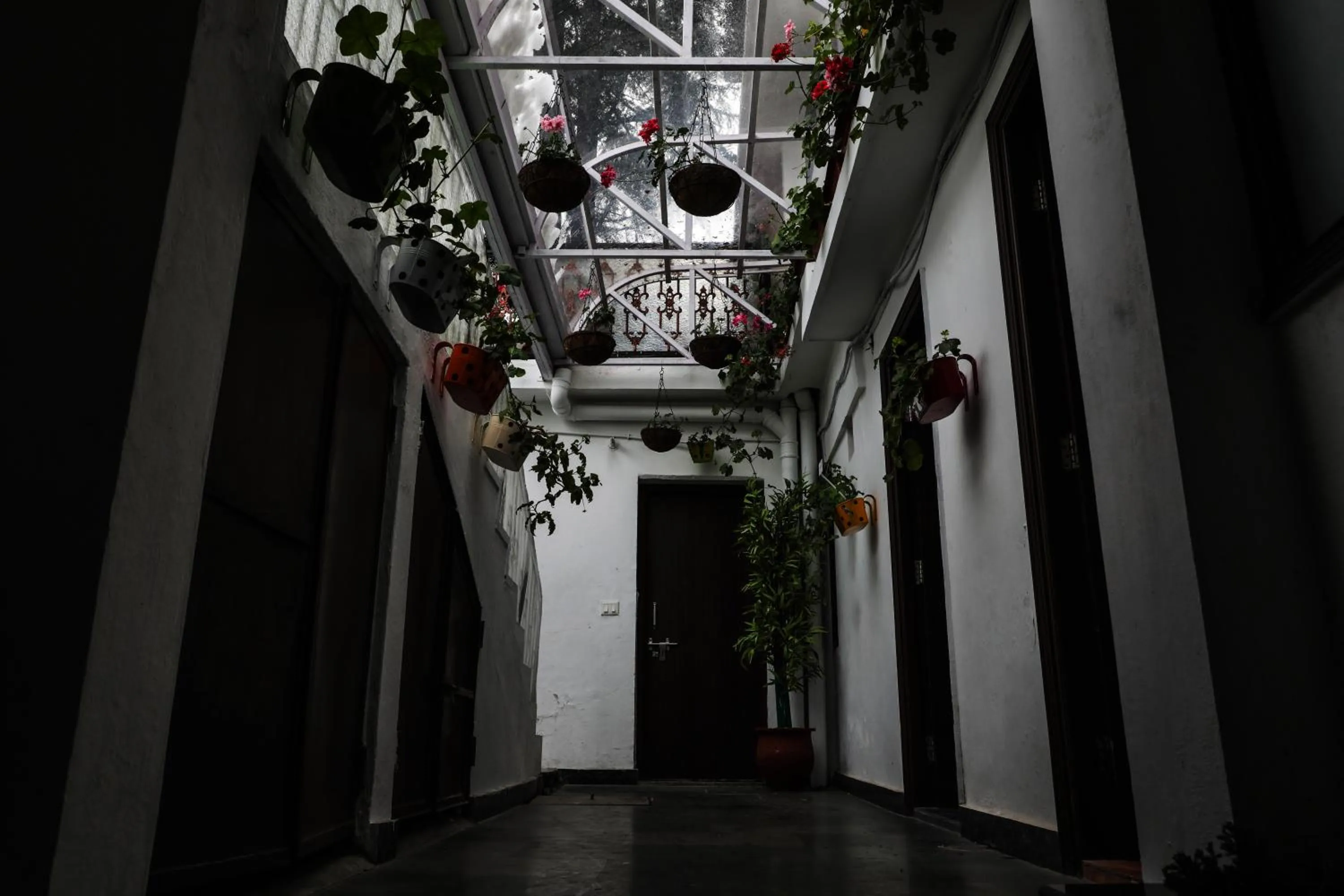 Balcony/Terrace in Hotel SunGrace