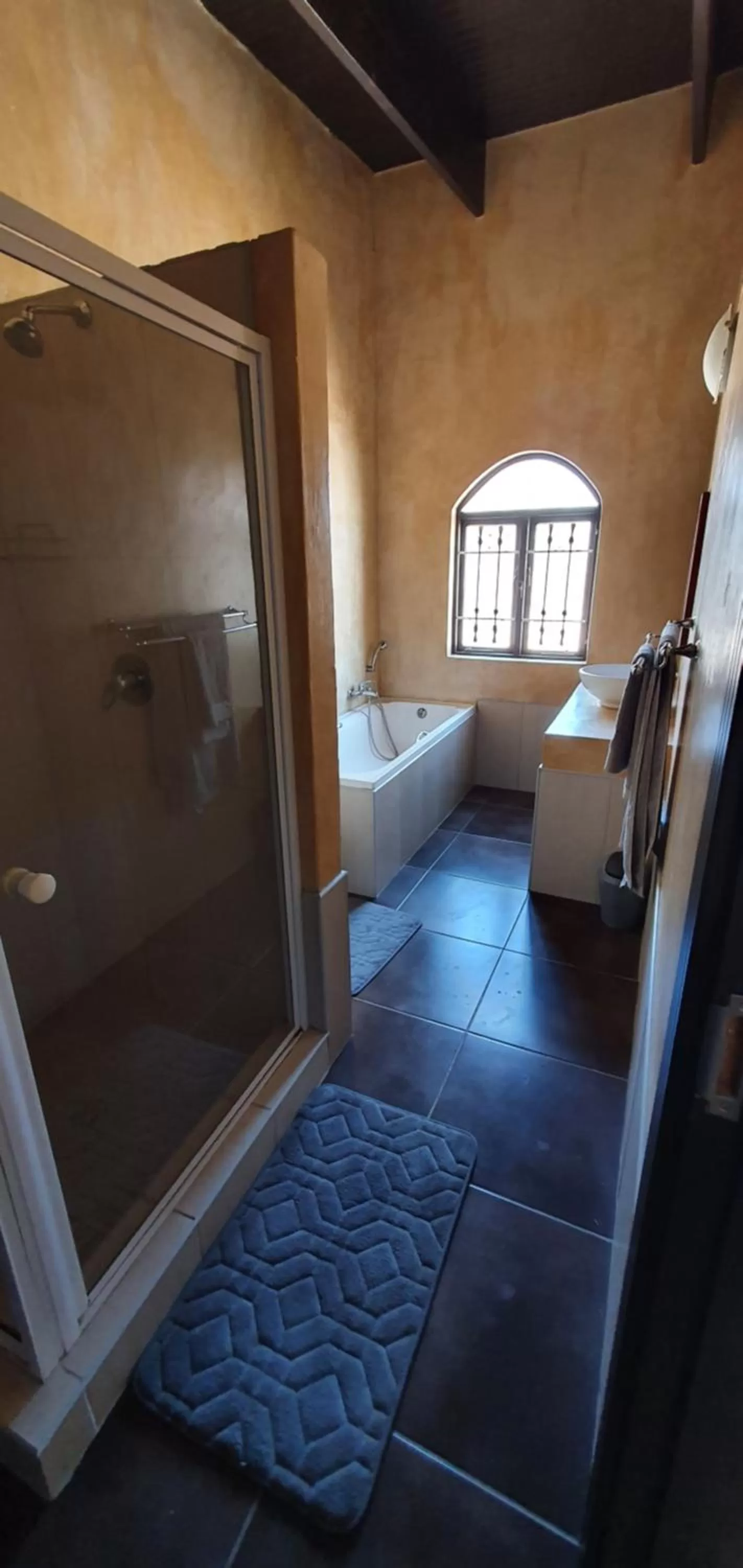 Toilet, TV/Entertainment Center in DESERT DREAMS B&B