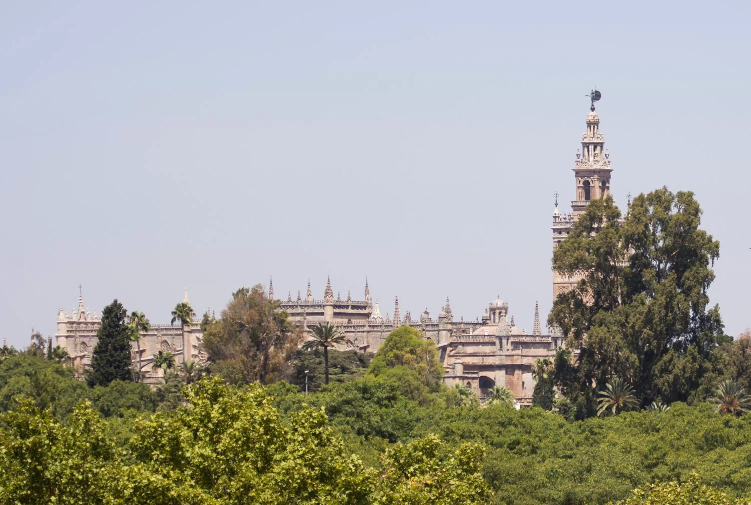 Area and facilities in Hotel Pasarela