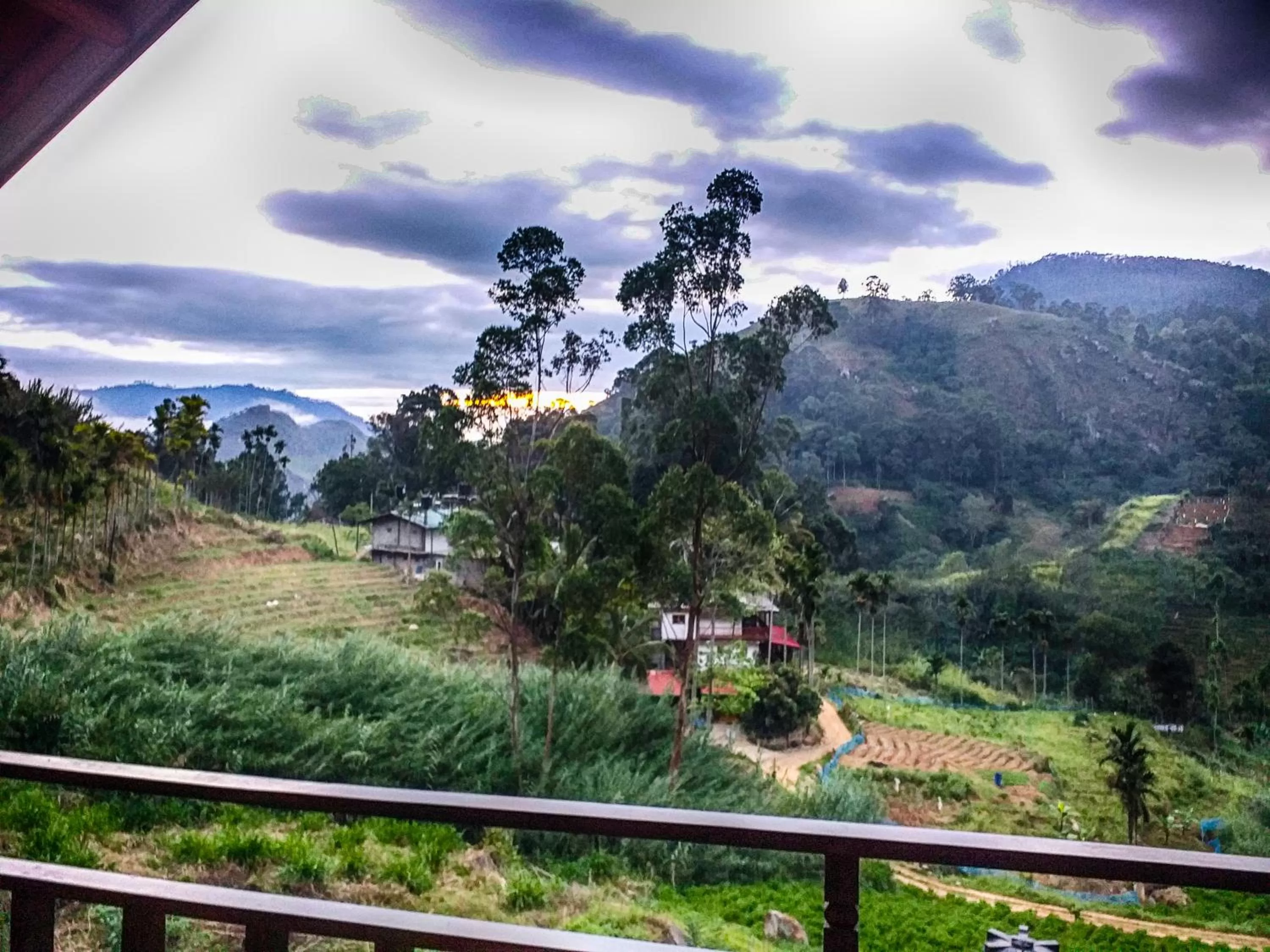 Mountain view in Ella 100 View Cottage
