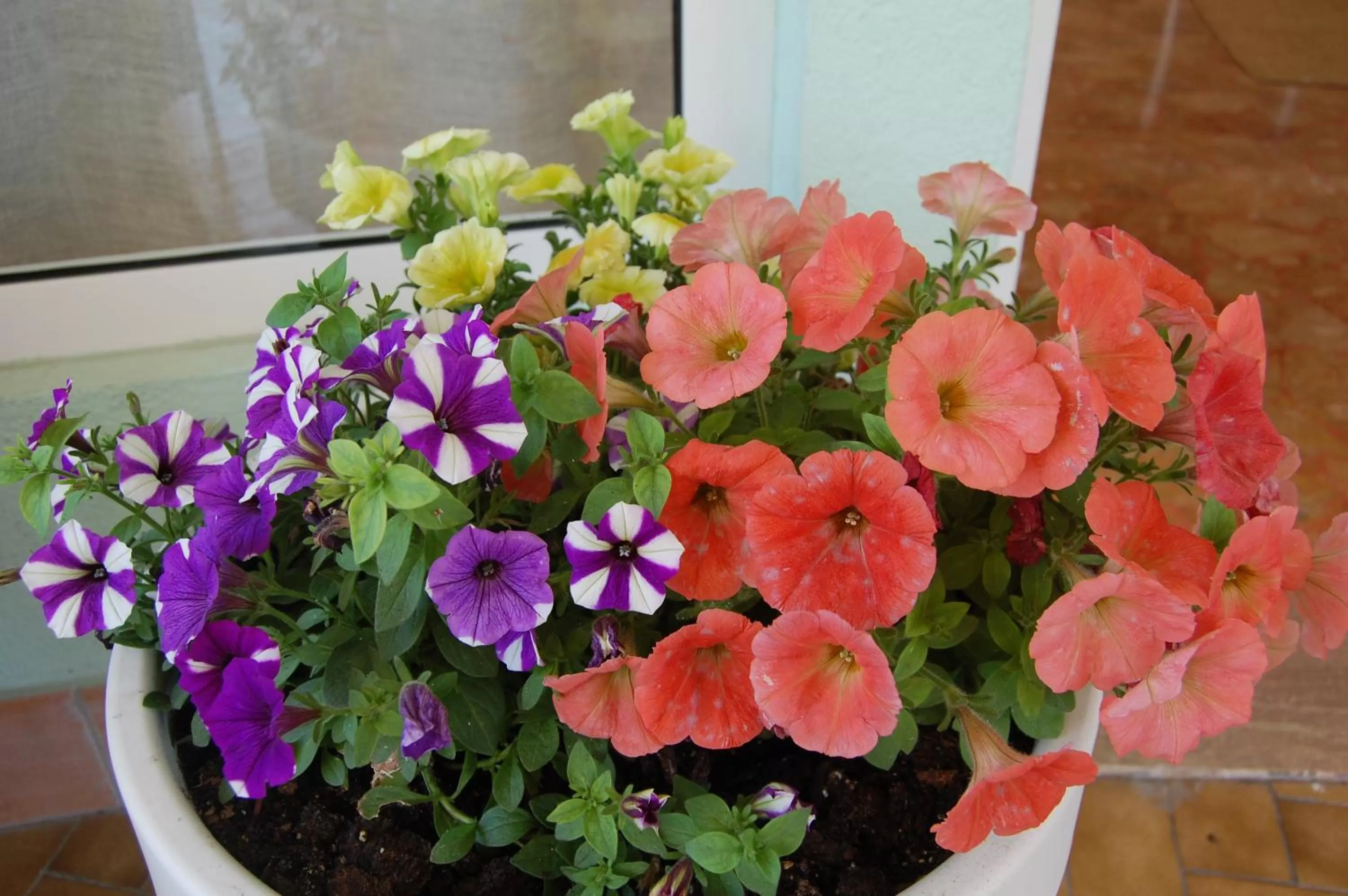 Other in Hotel Irene