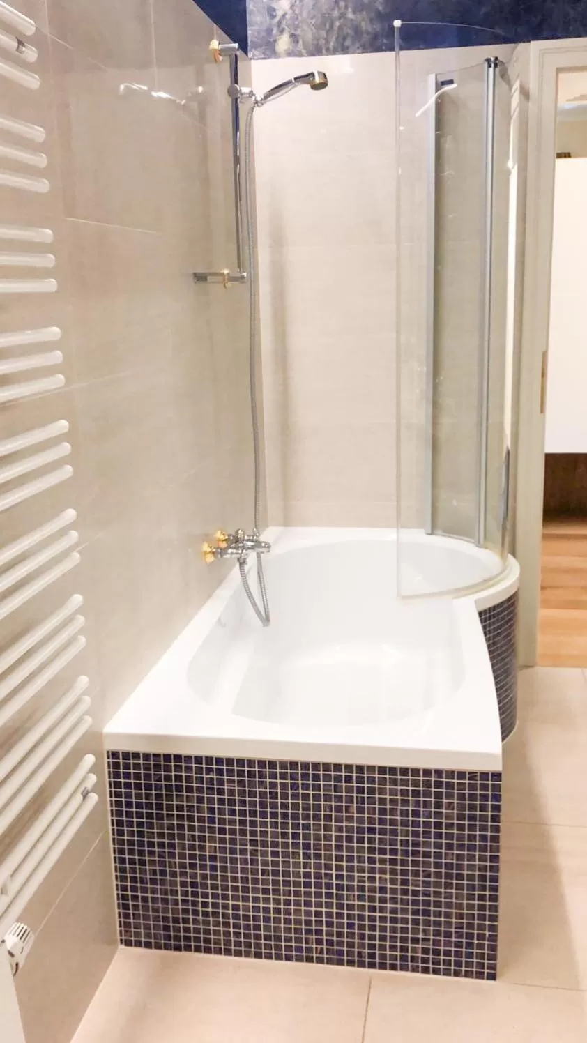 Shower, Bathroom in Die Schmiede