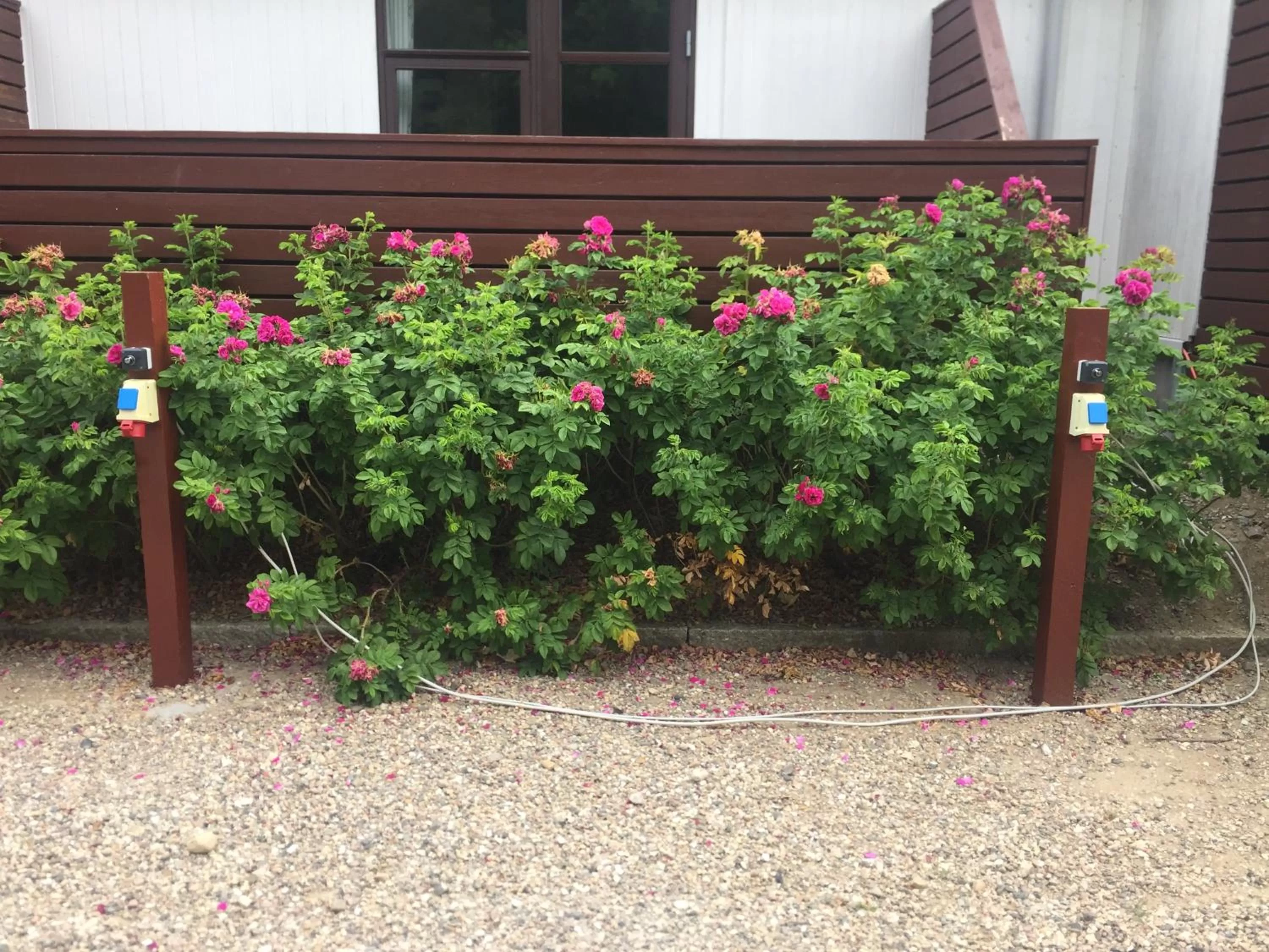 Parking in Bromølle Kro